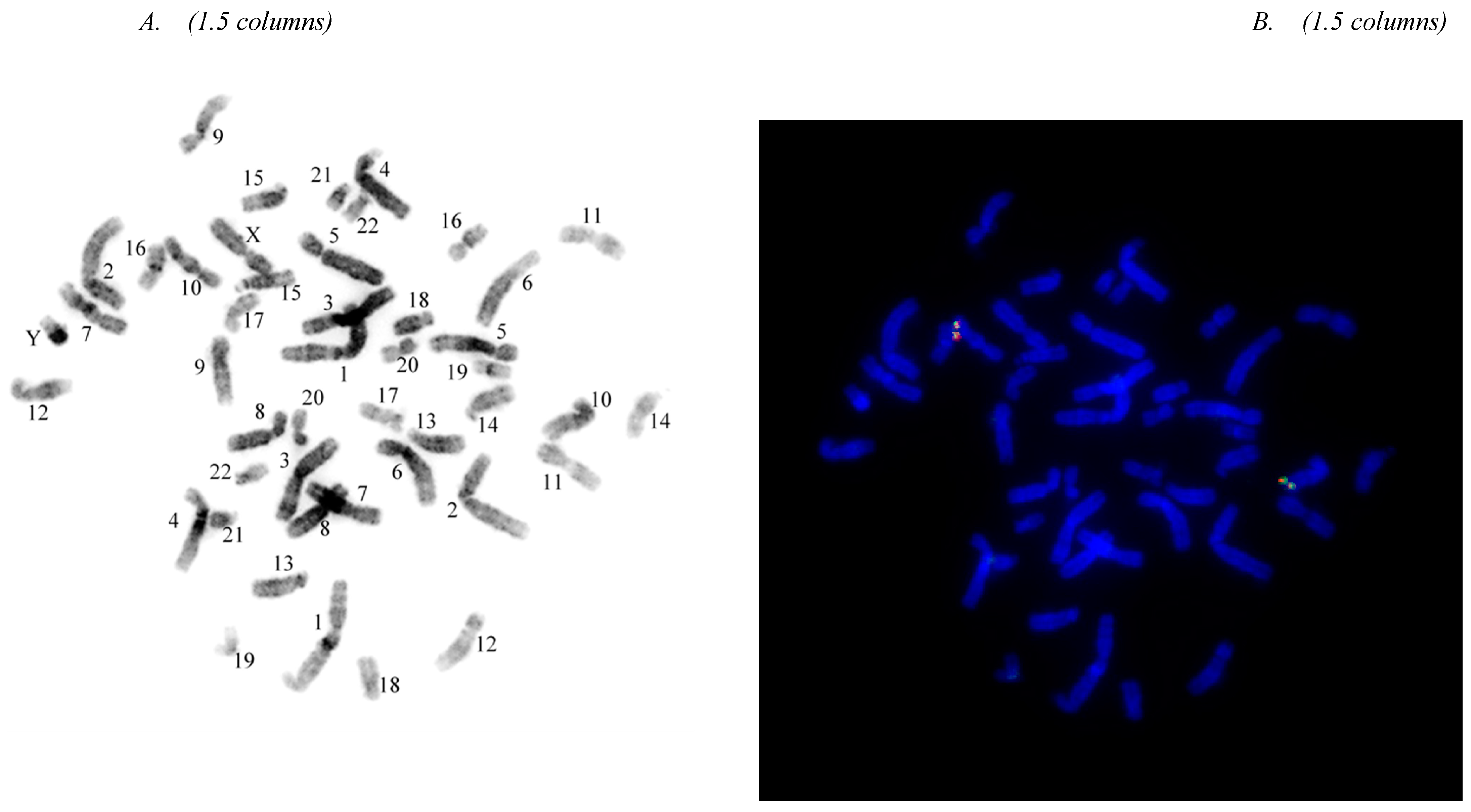 Diagnostics 13 02088 g003 Diagnostics 13 02088 g003