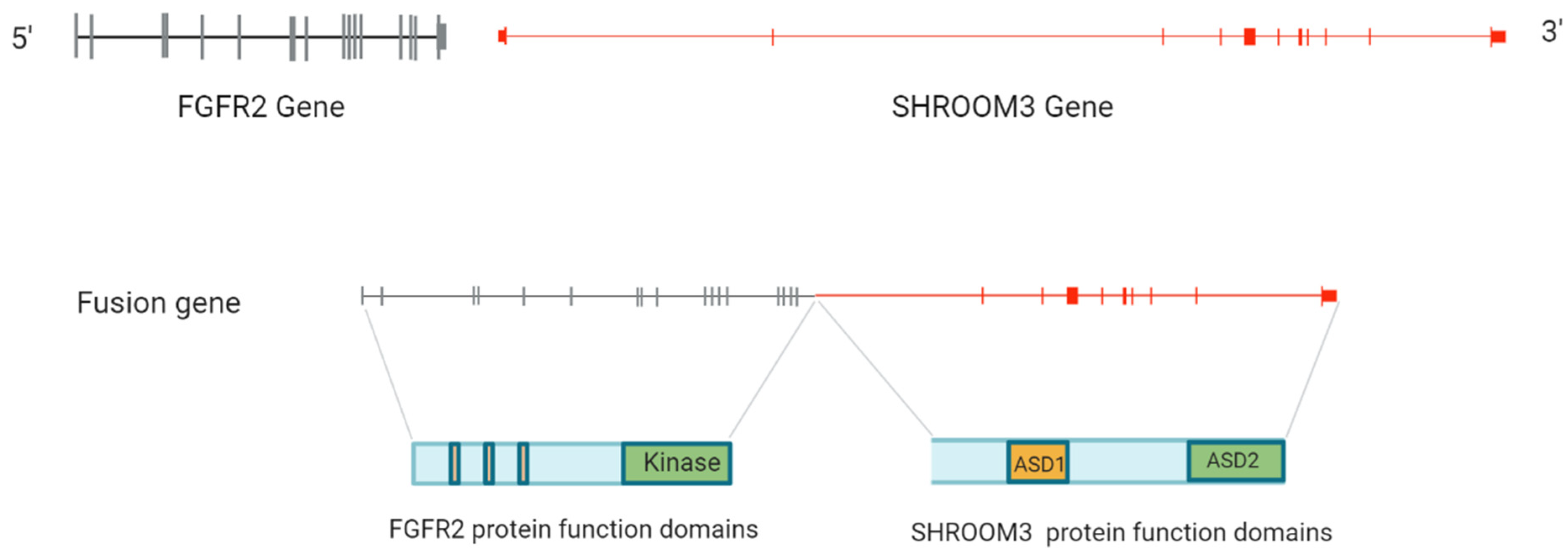 Diagnostics 13 02088 g005 Diagnostics 13 02088 g005