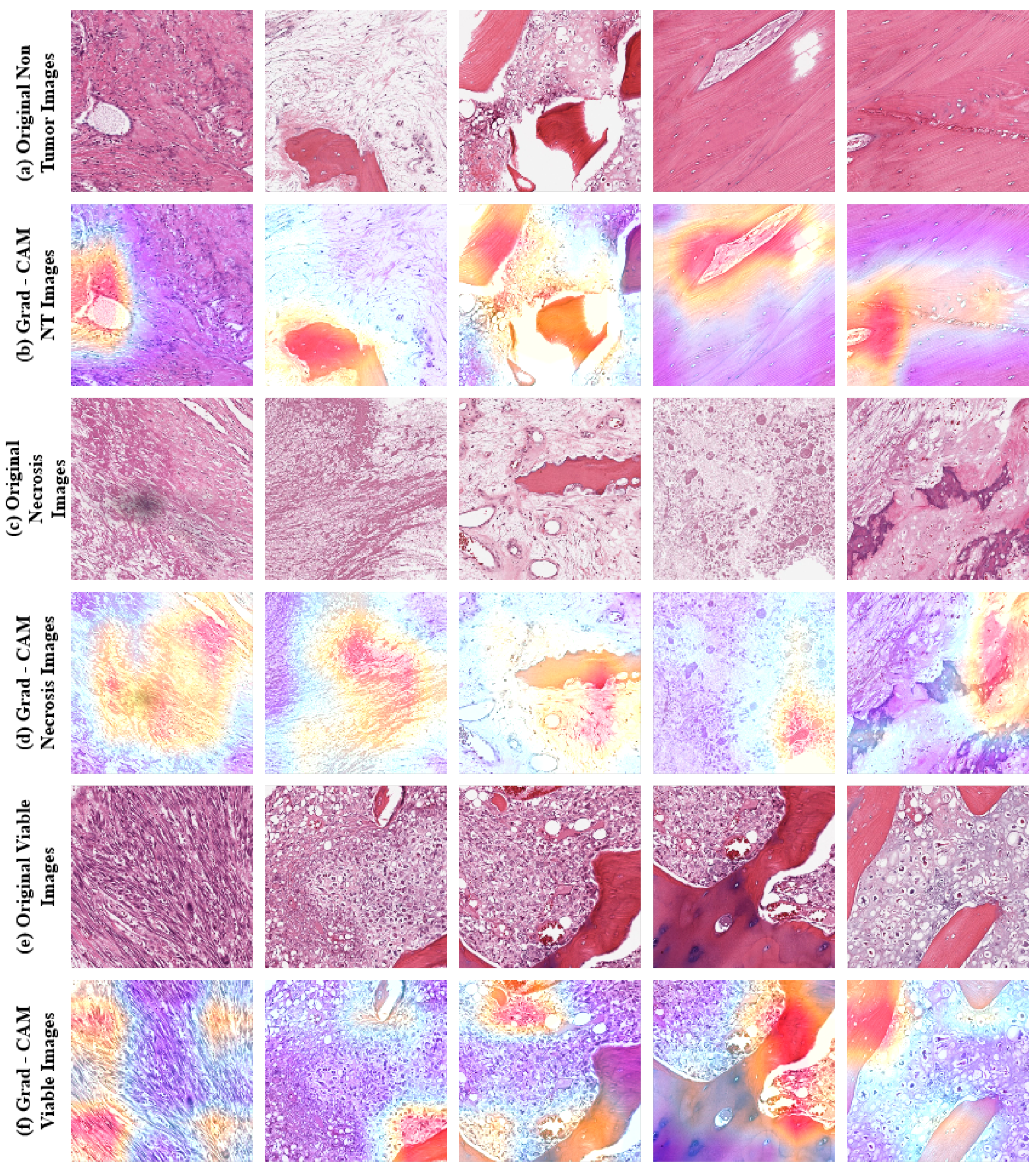 Diagnostics 13 02106 g007