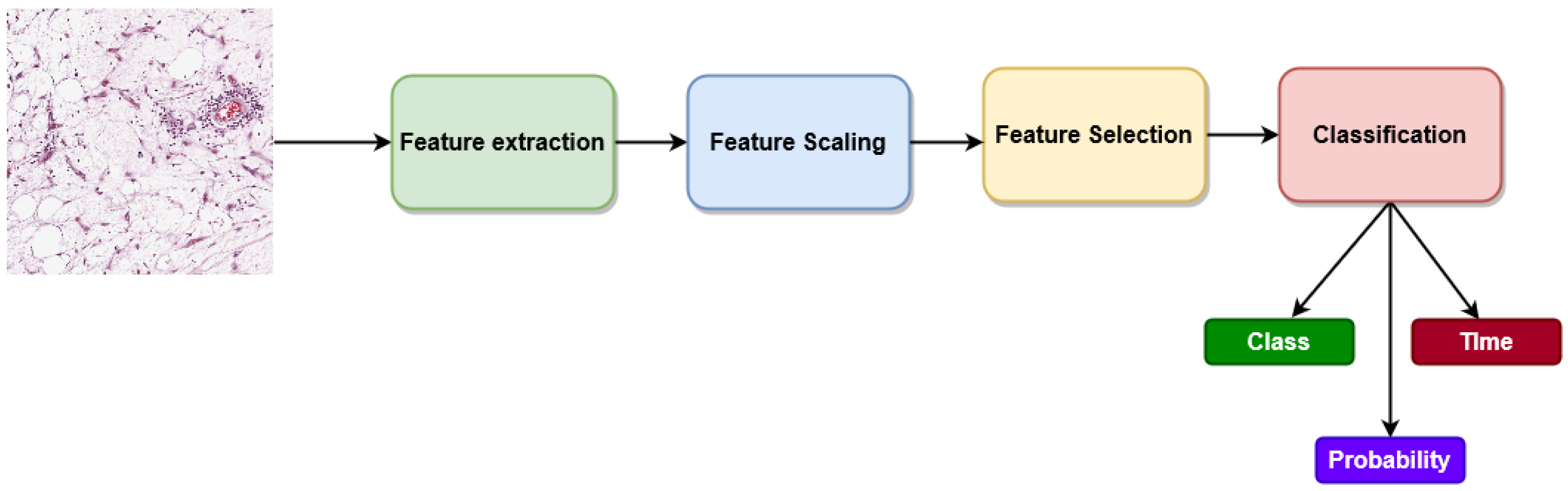 Diagnostics 13 02106 g008
