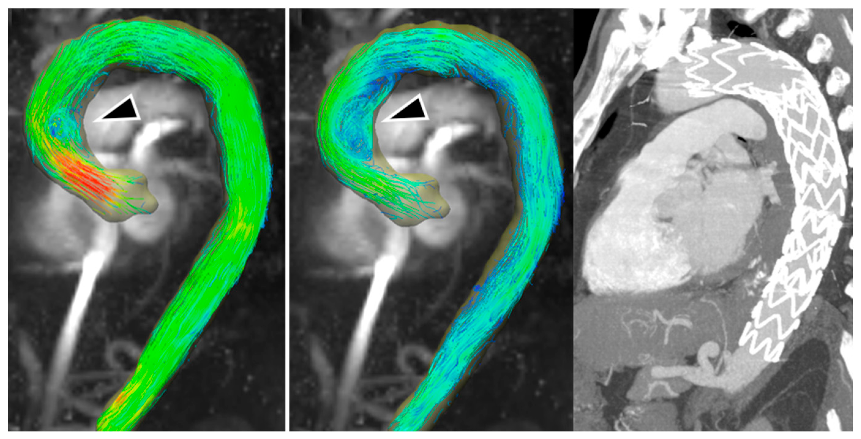 Diagnostics 13 02113 g001