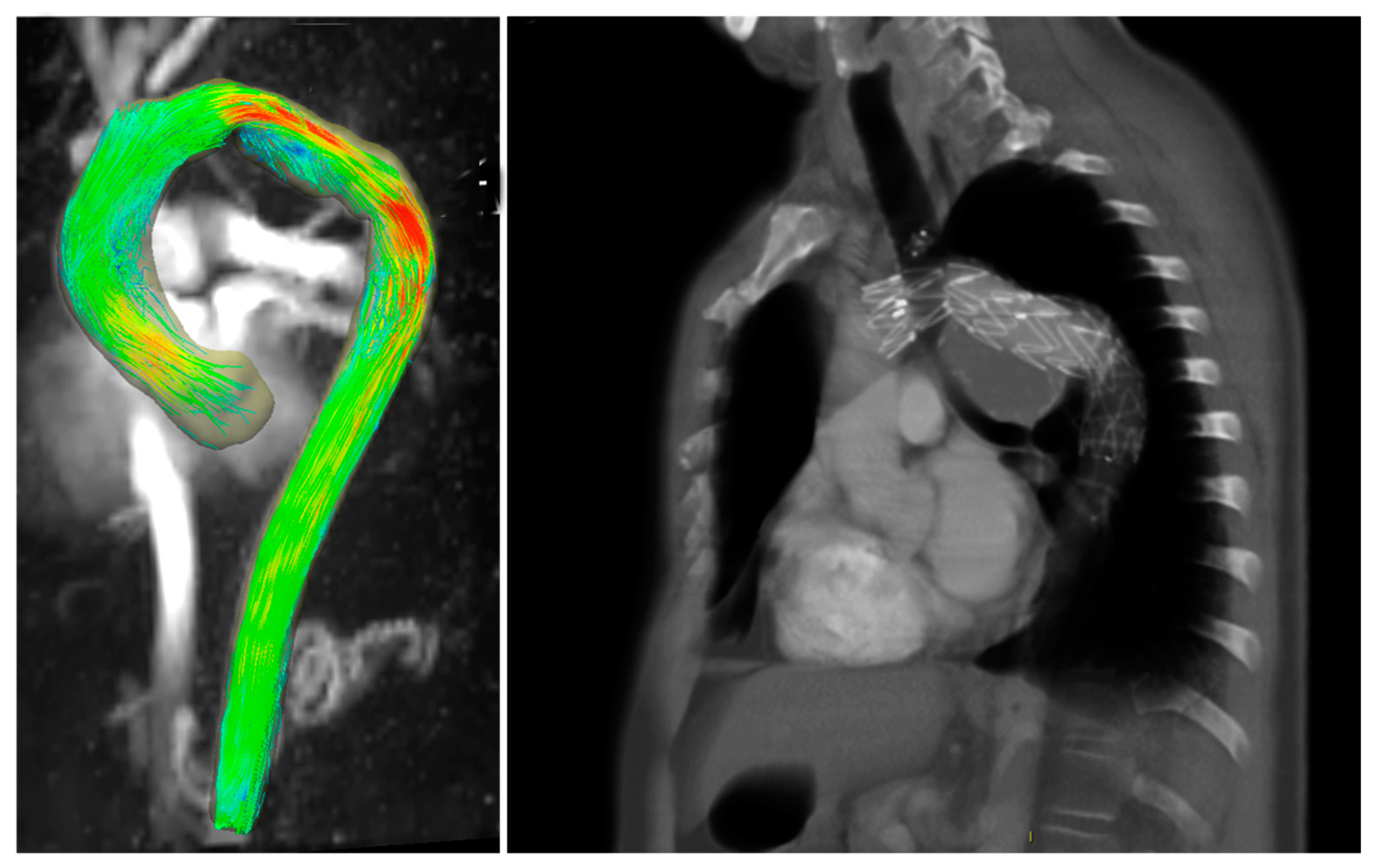 Diagnostics 13 02113 g003