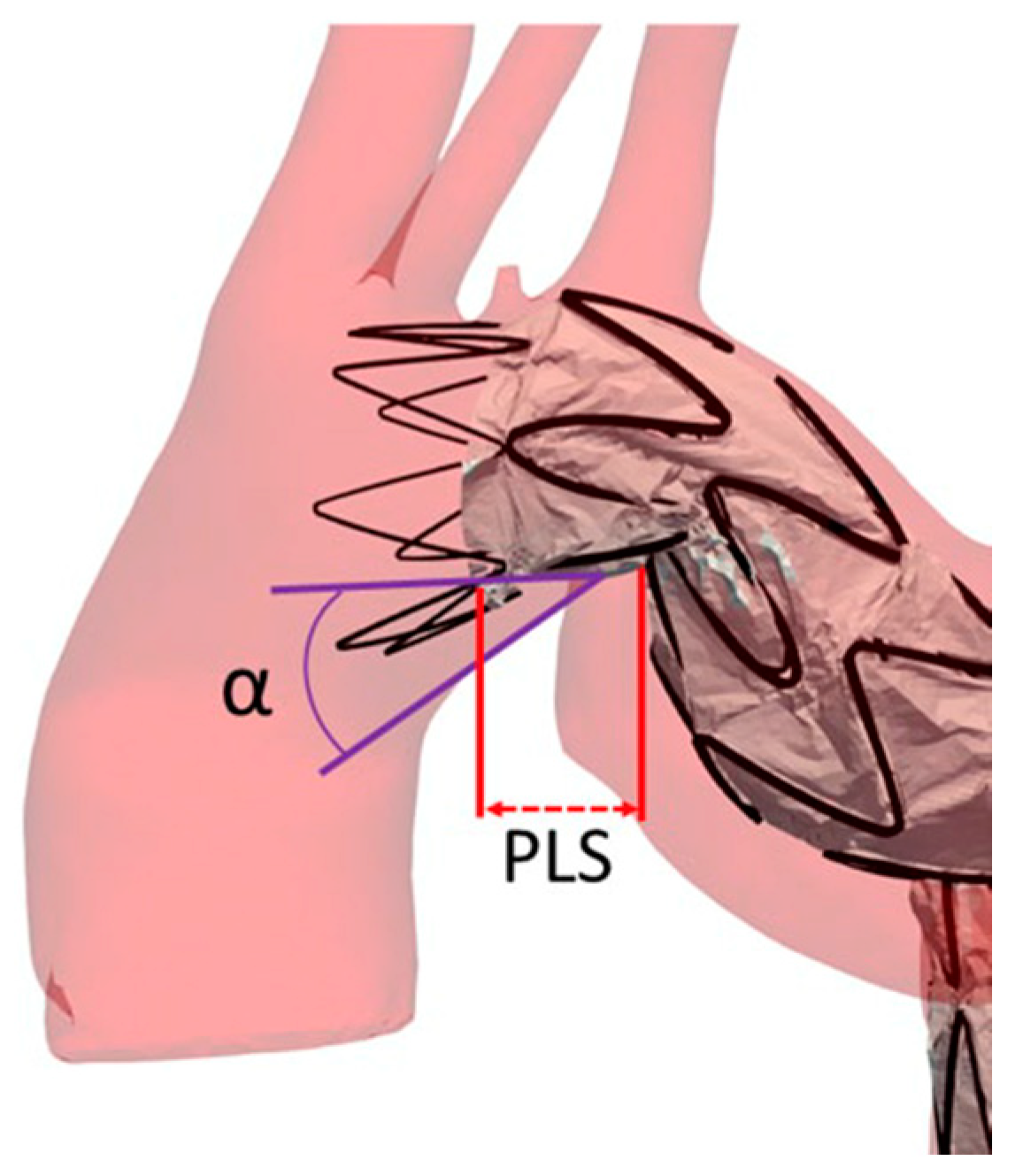 Diagnostics 13 02113 g006