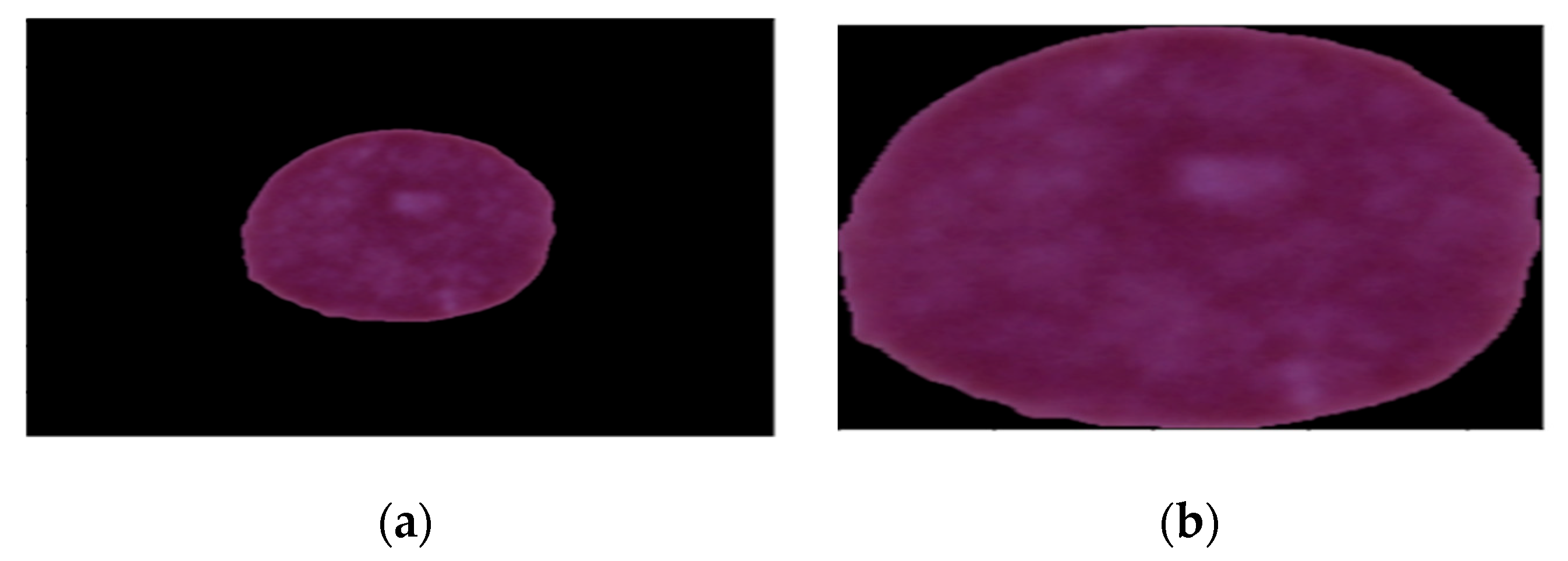 Diagnostics 13 02121 g003