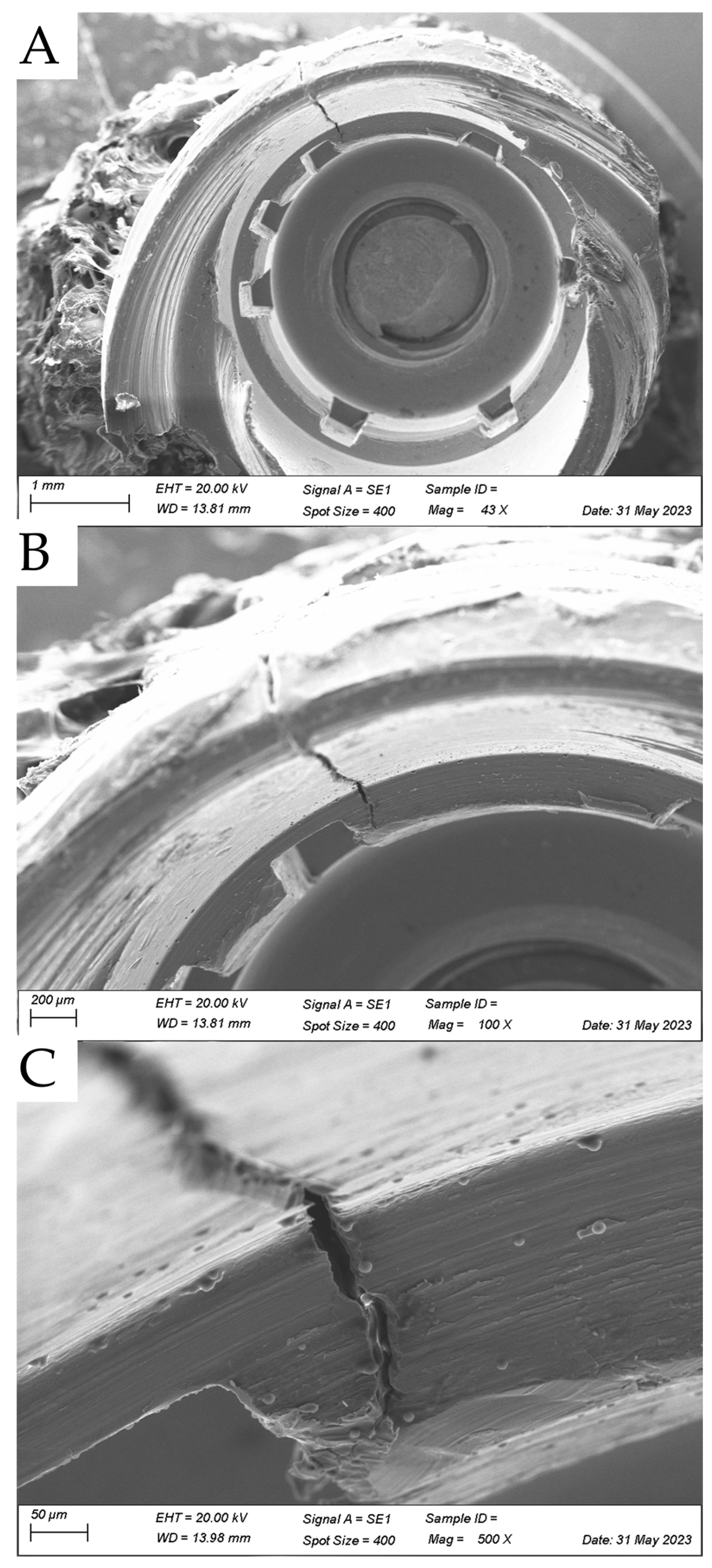 Diagnostics 13 02123 g001 Diagnostics 13 02123 g001