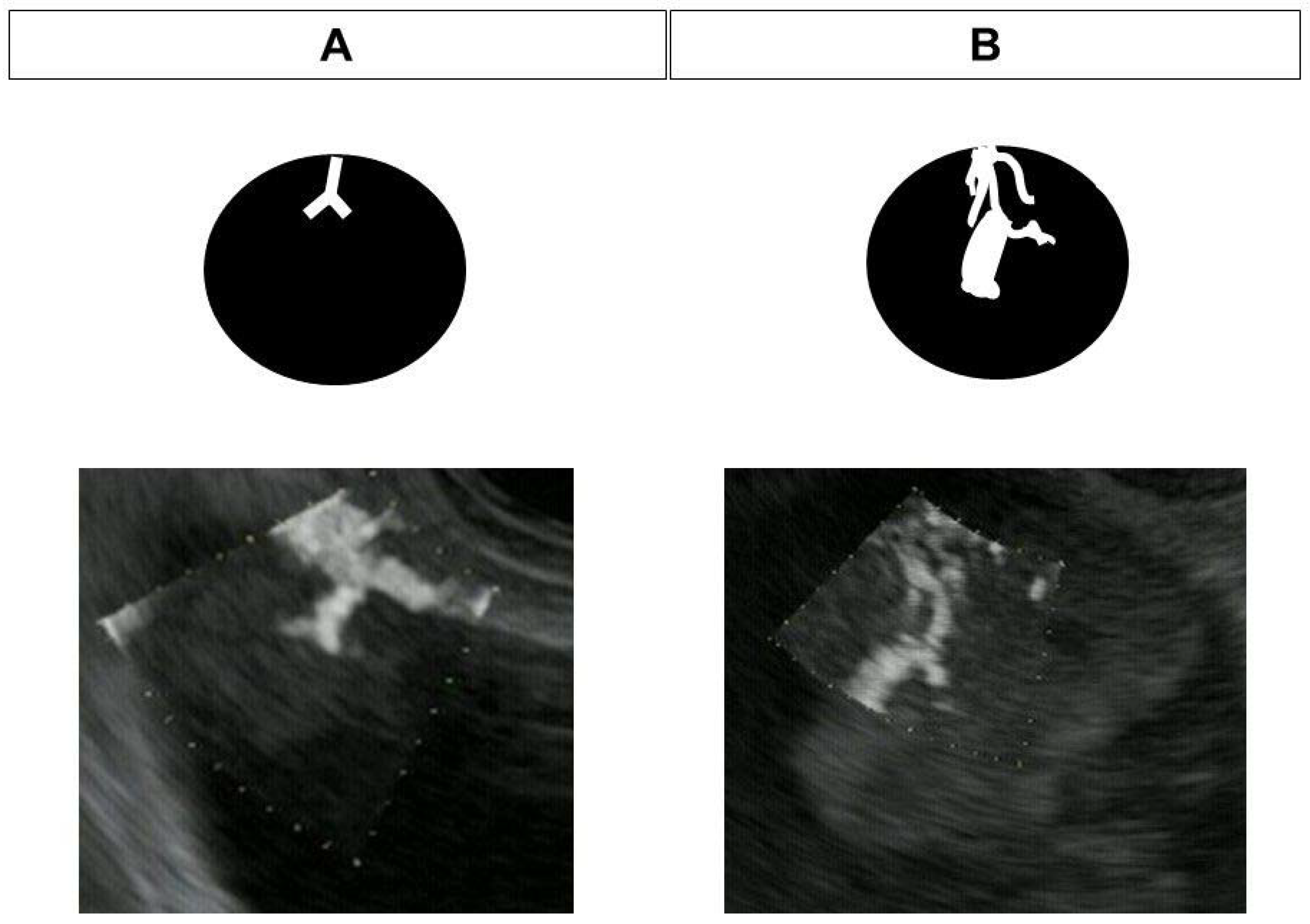 Diagnostics 13 02132 g002