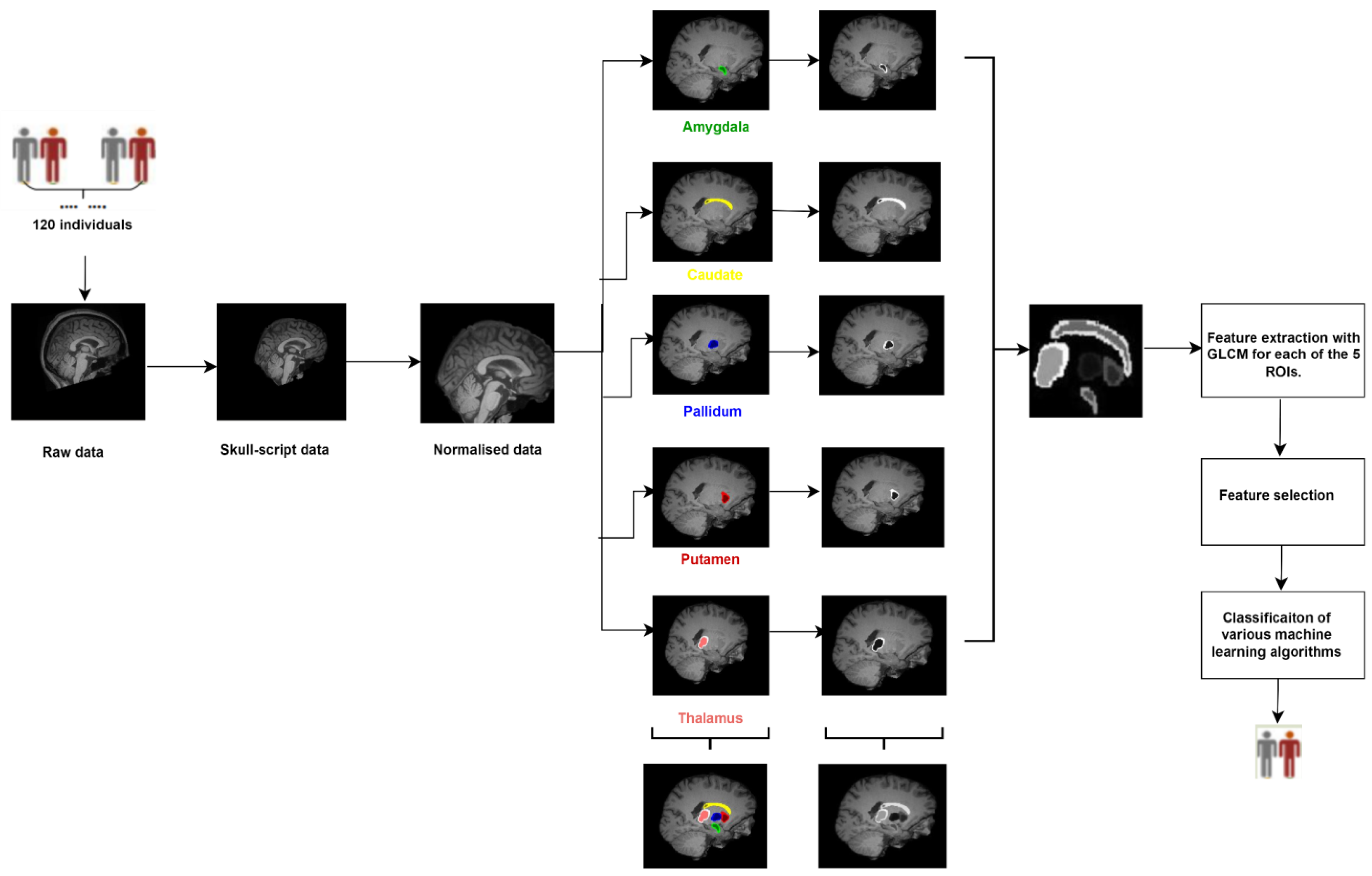 Diagnostics 13 02140 g001