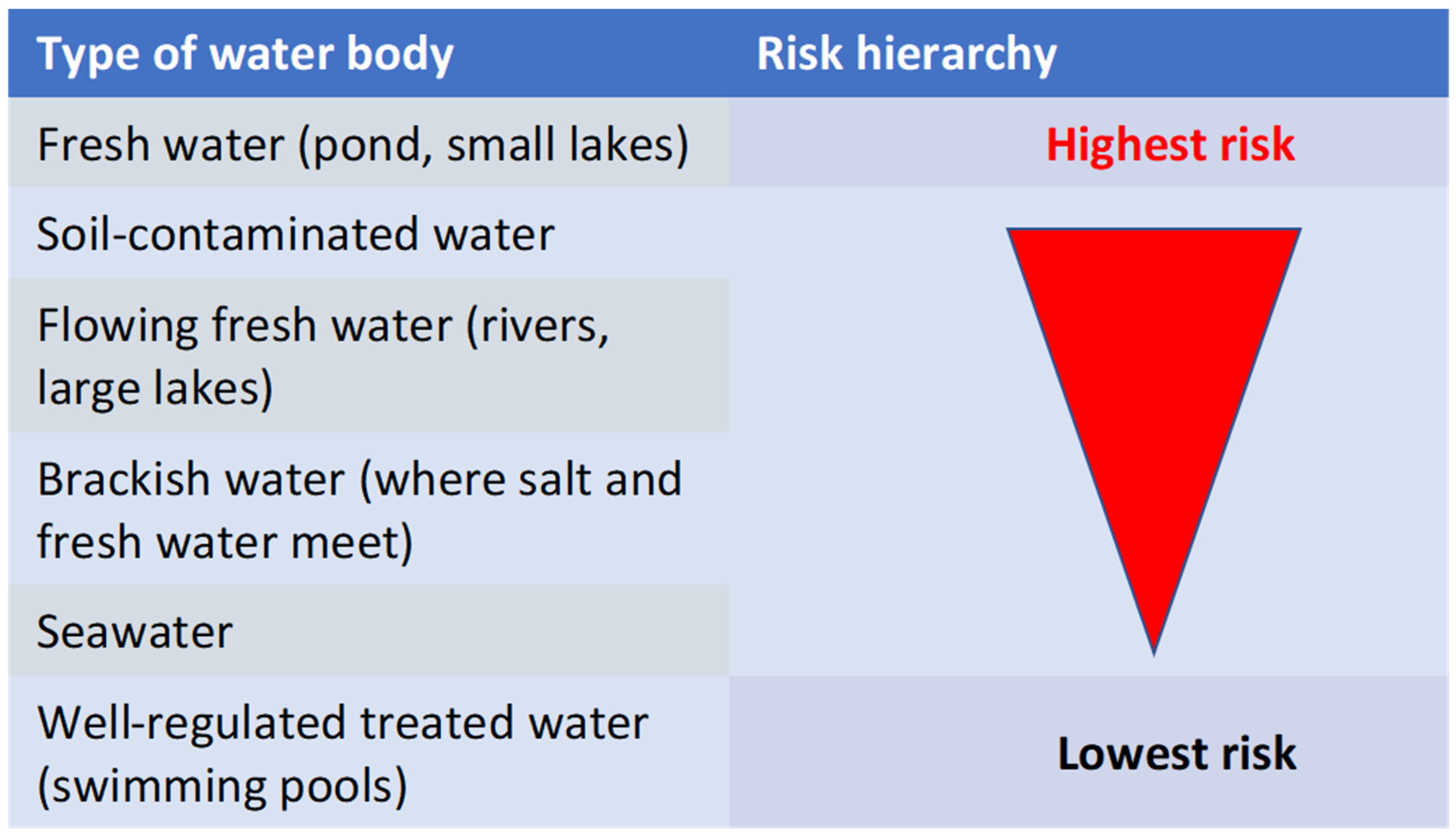 Diagnostics 13 02150 g001