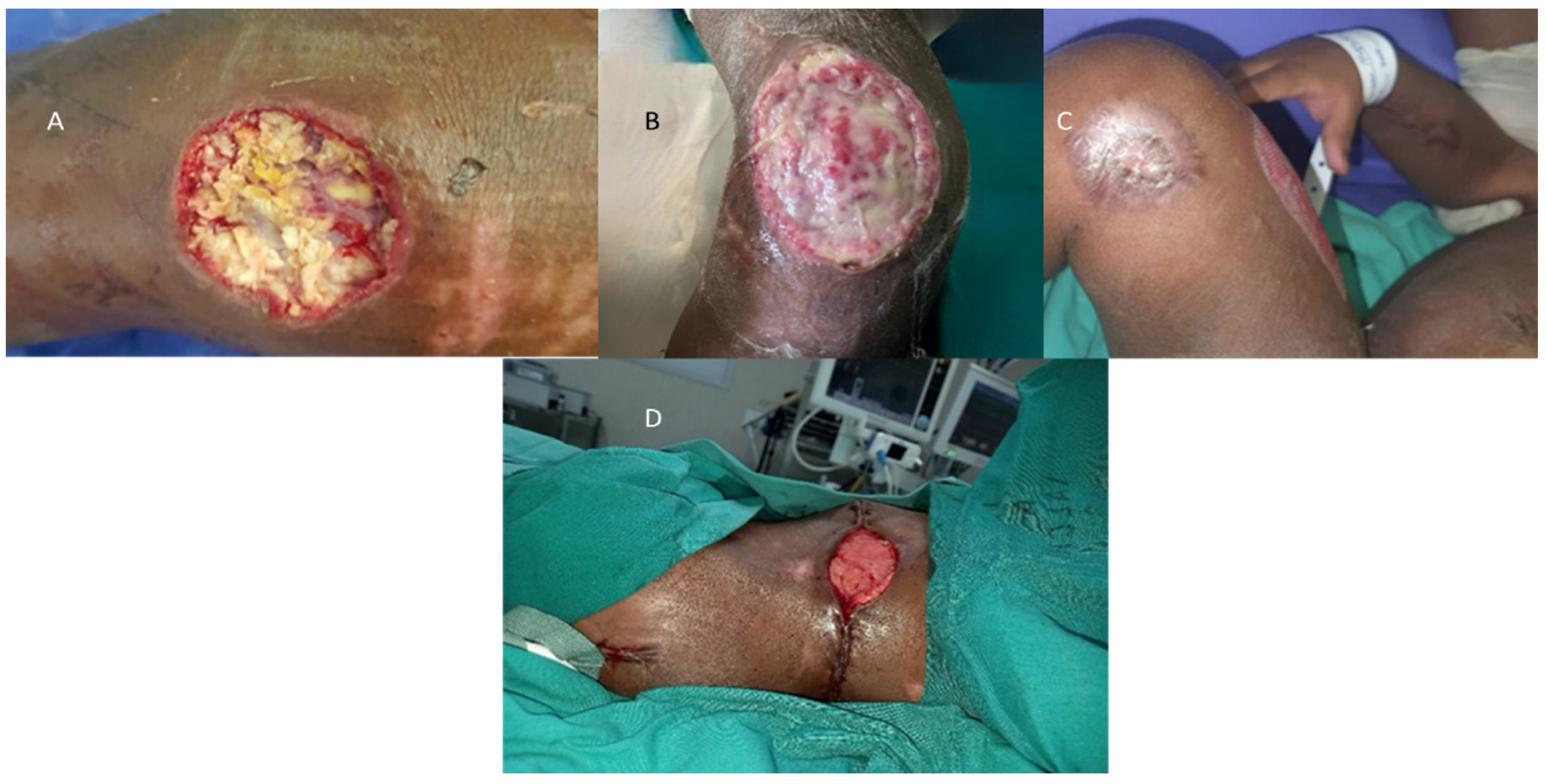 Diagnostics 13 02150 g005