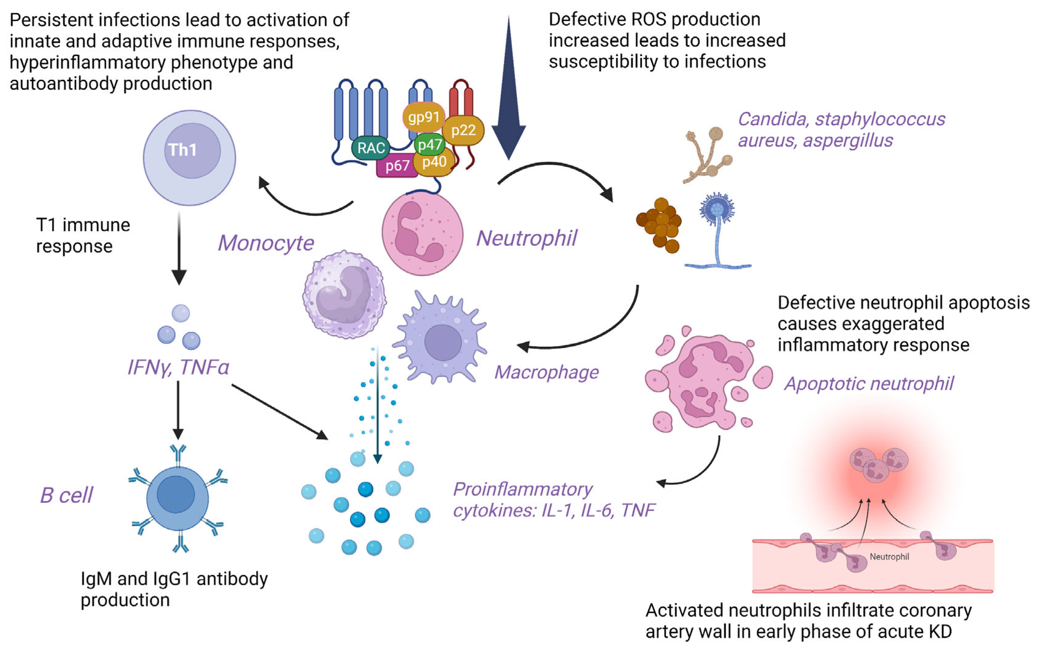 Diagnostics 13 02151 g003 Diagnostics 13 02151 g003