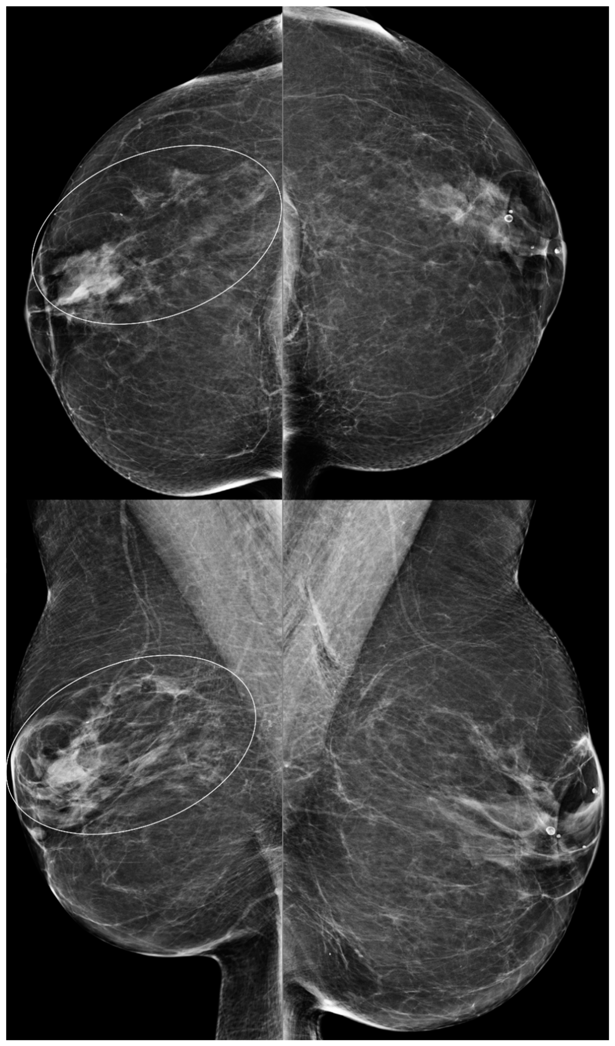 Diagnostics 13 02173 g002