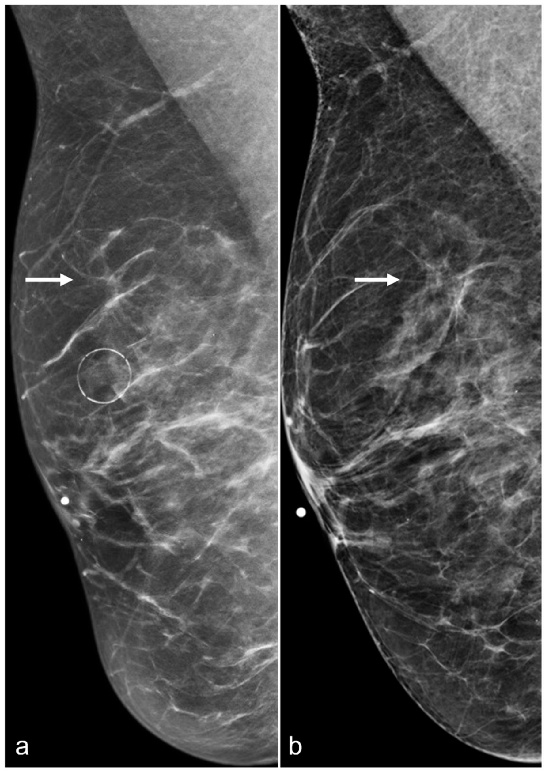 Diagnostics 13 02173 g003