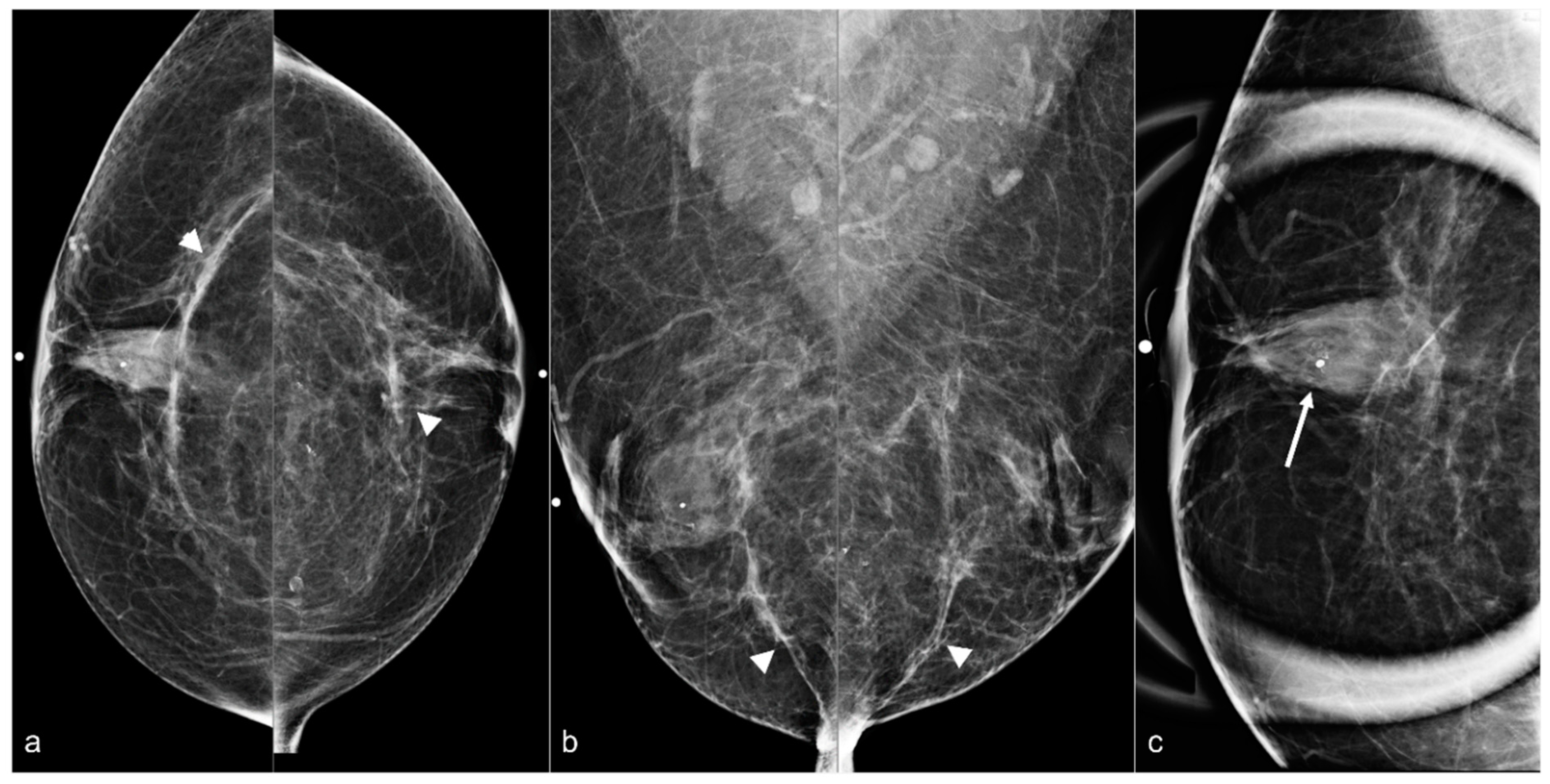 Diagnostics 13 02173 g006