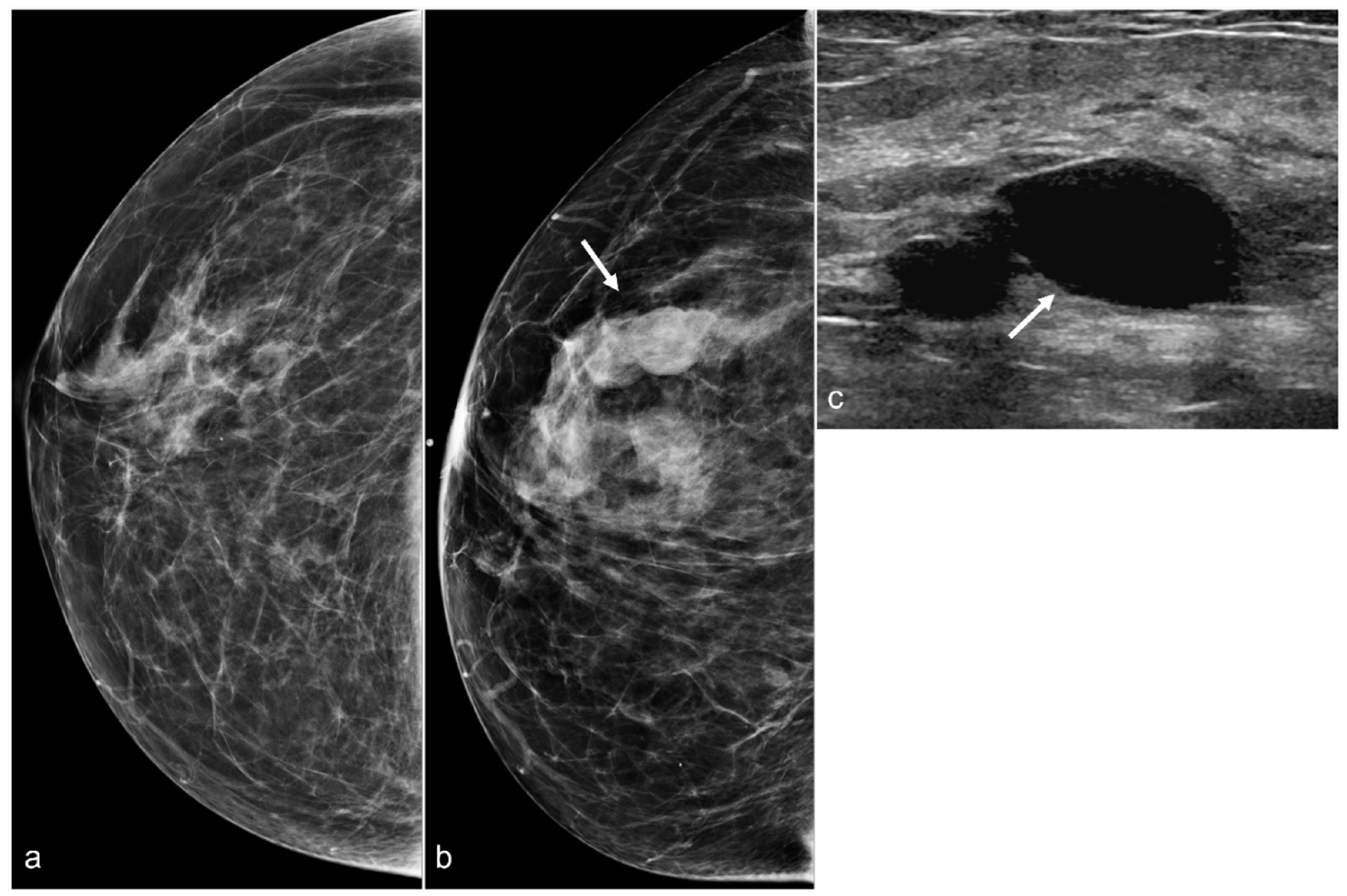 Diagnostics 13 02173 g010