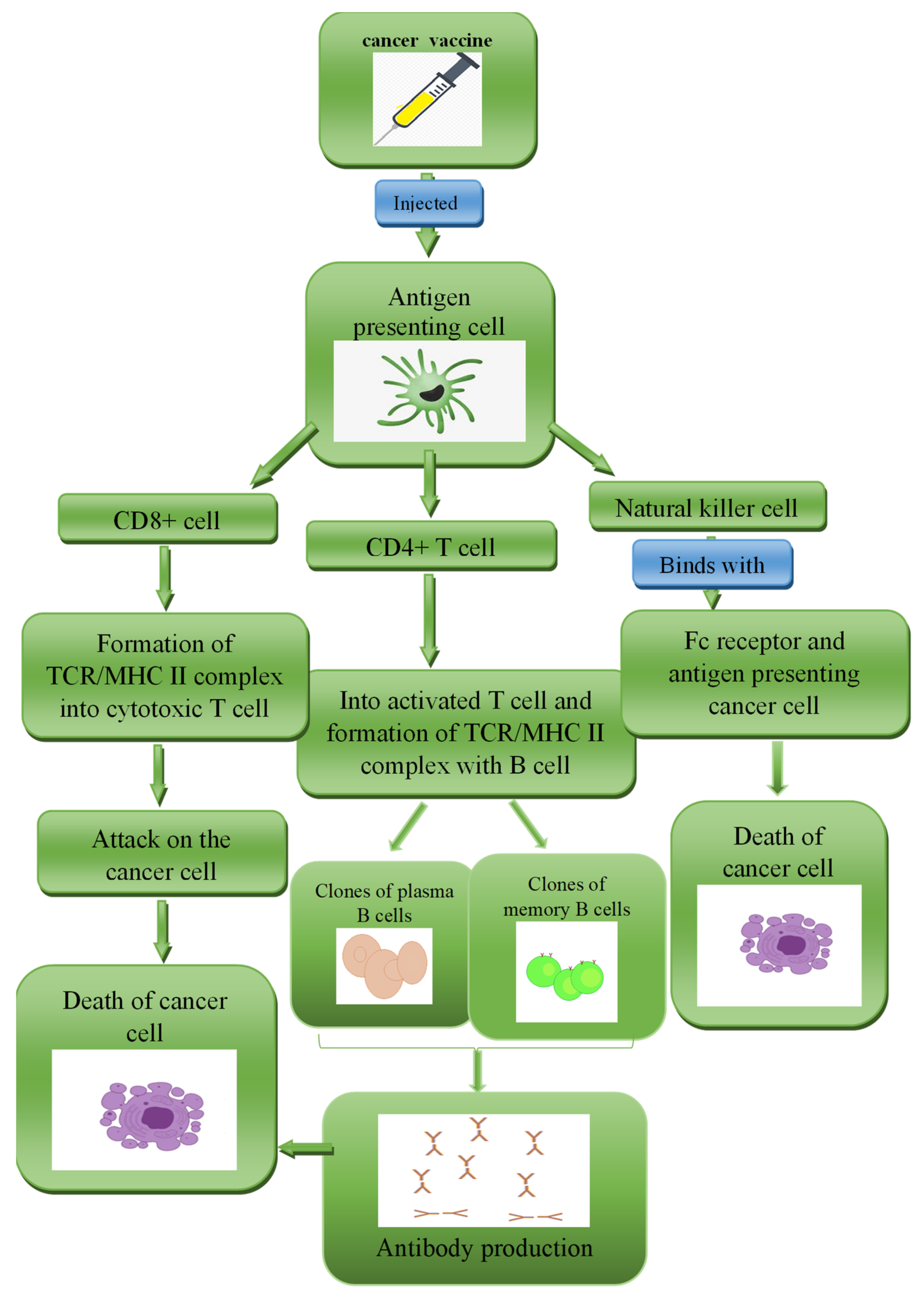 Diagnostics 13 02175 g002 Diagnostics 13 02175 g002