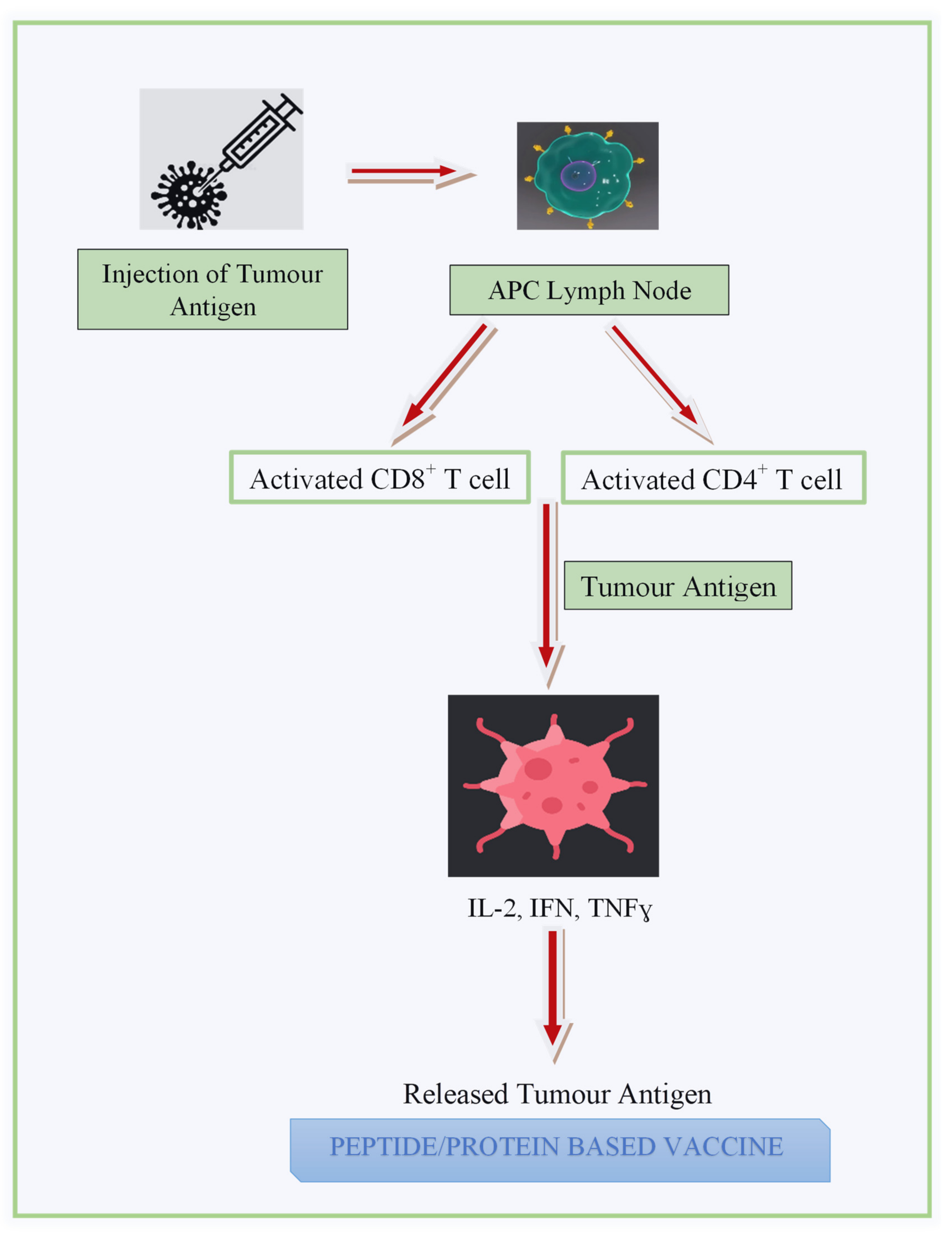 Diagnostics 13 02175 g003 Diagnostics 13 02175 g003