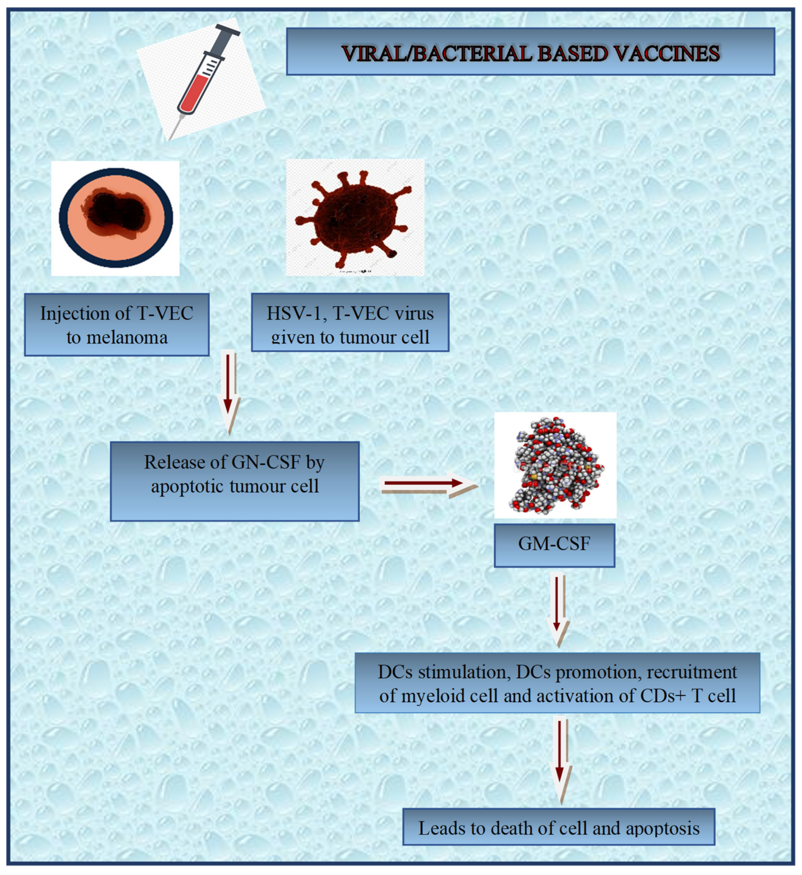Diagnostics 13 02175 g004 Diagnostics 13 02175 g004