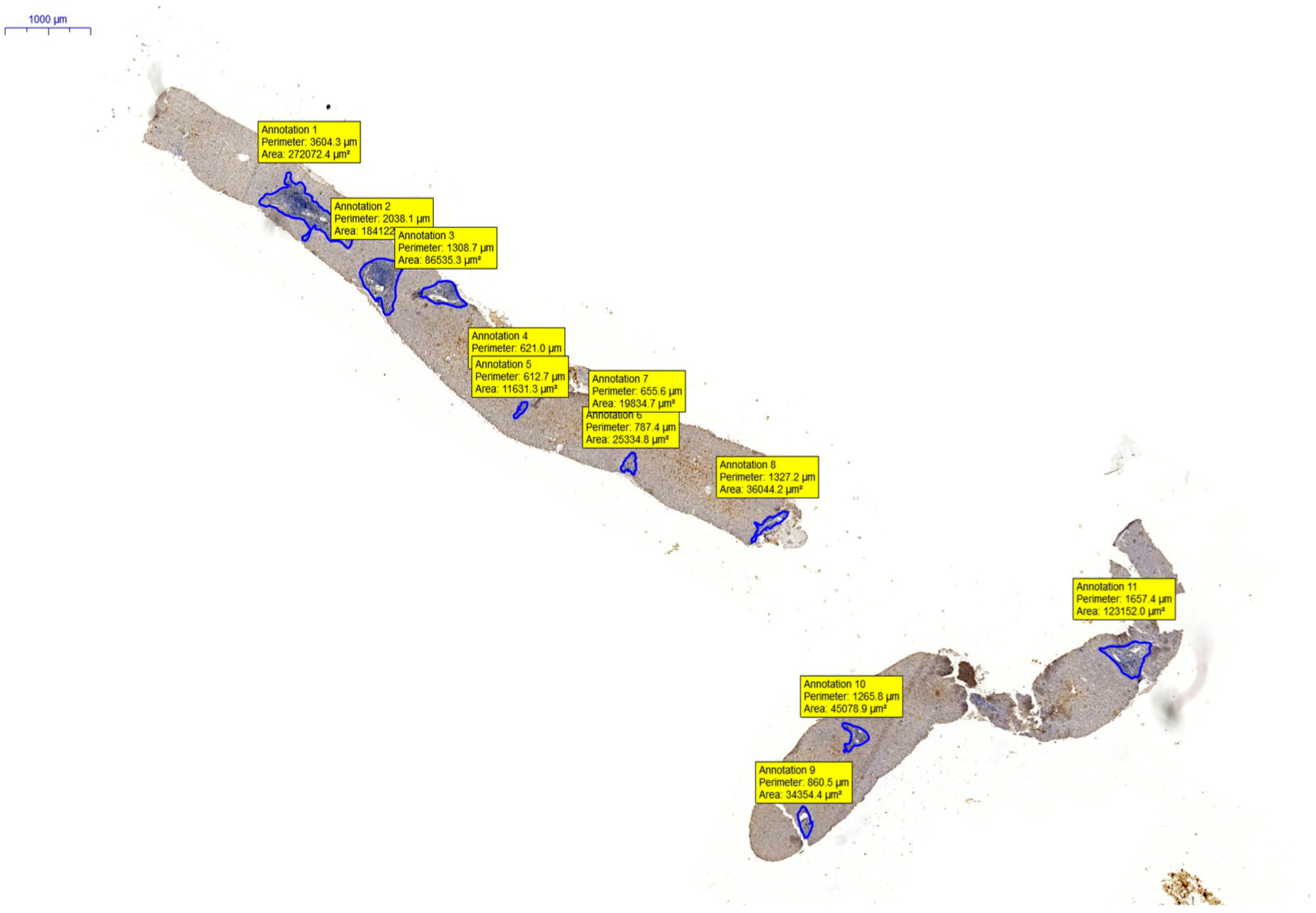 Diagnostics 13 02187 g004