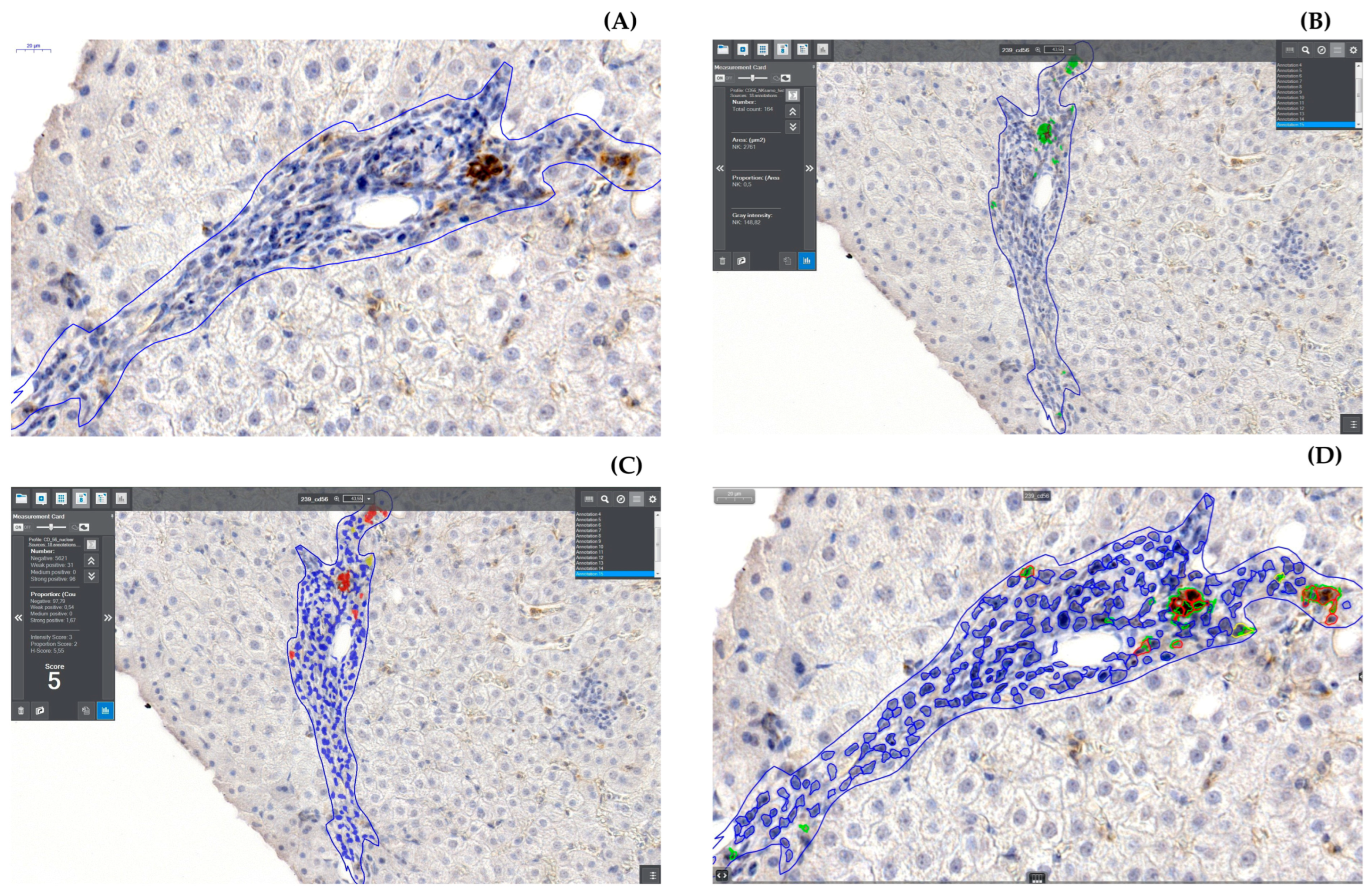 Diagnostics 13 02187 g005
