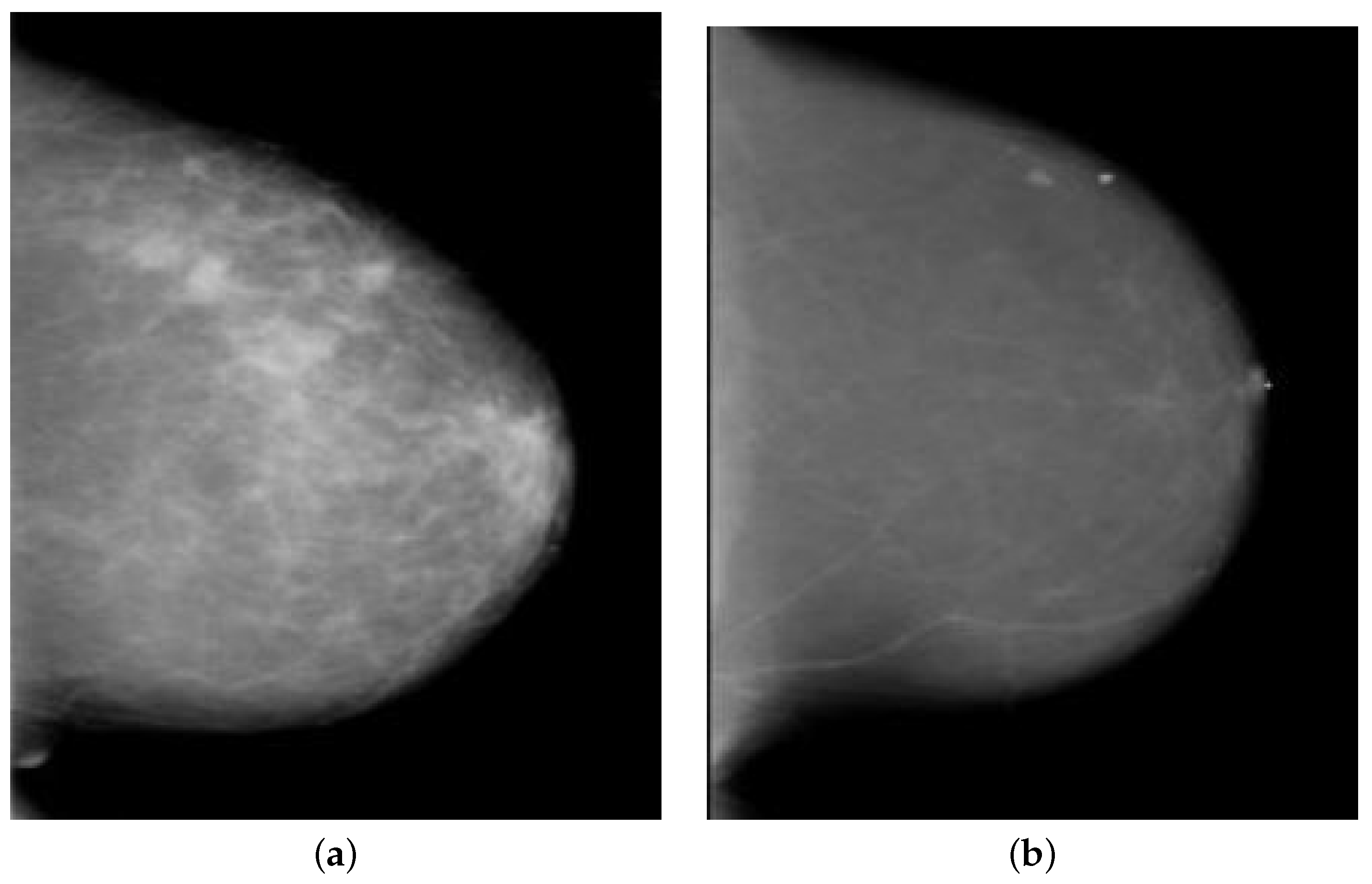 Diagnostics 13 02191 g002 Diagnostics 13 02191 g002