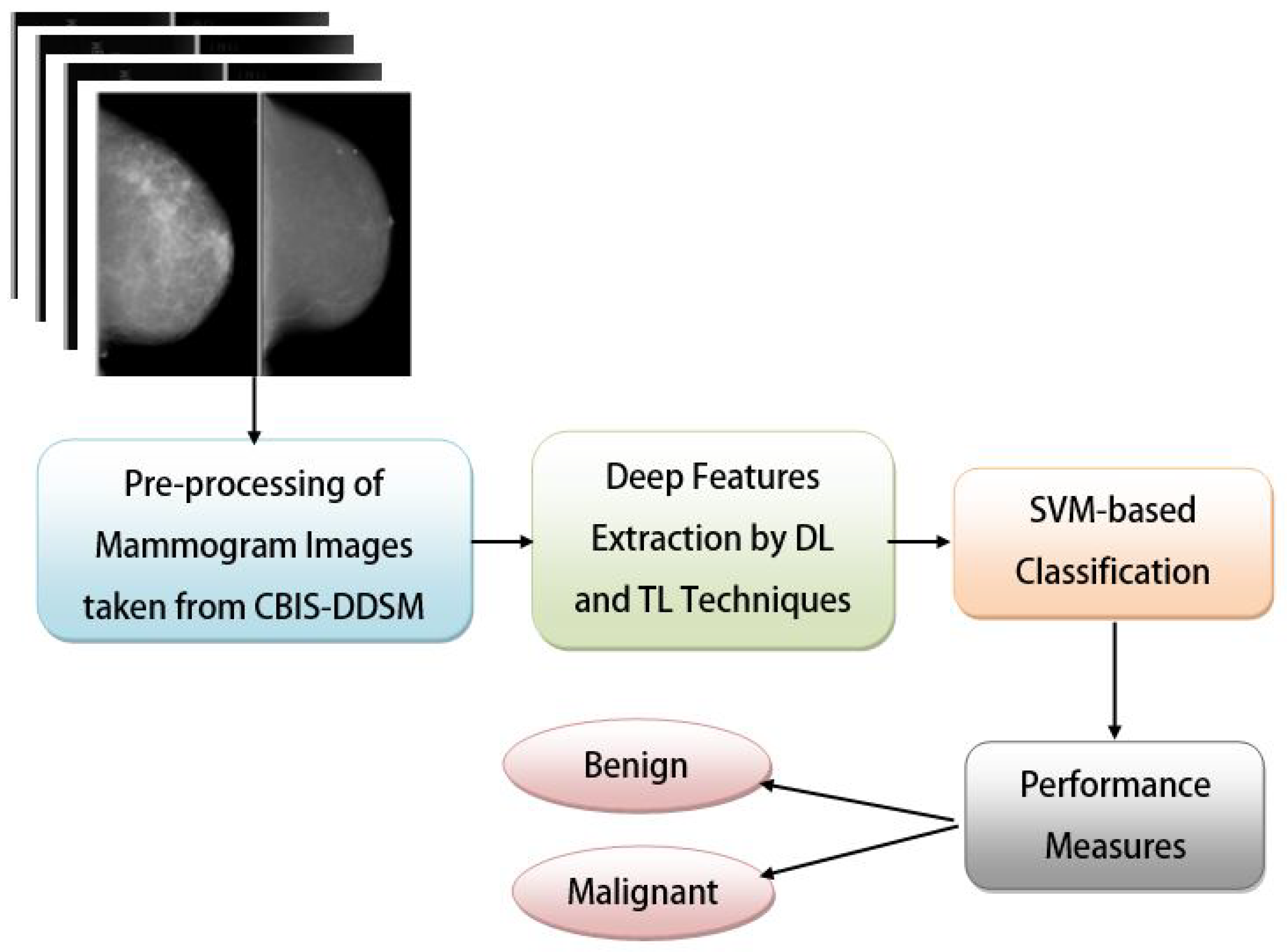 Diagnostics 13 02191 g004 Diagnostics 13 02191 g004