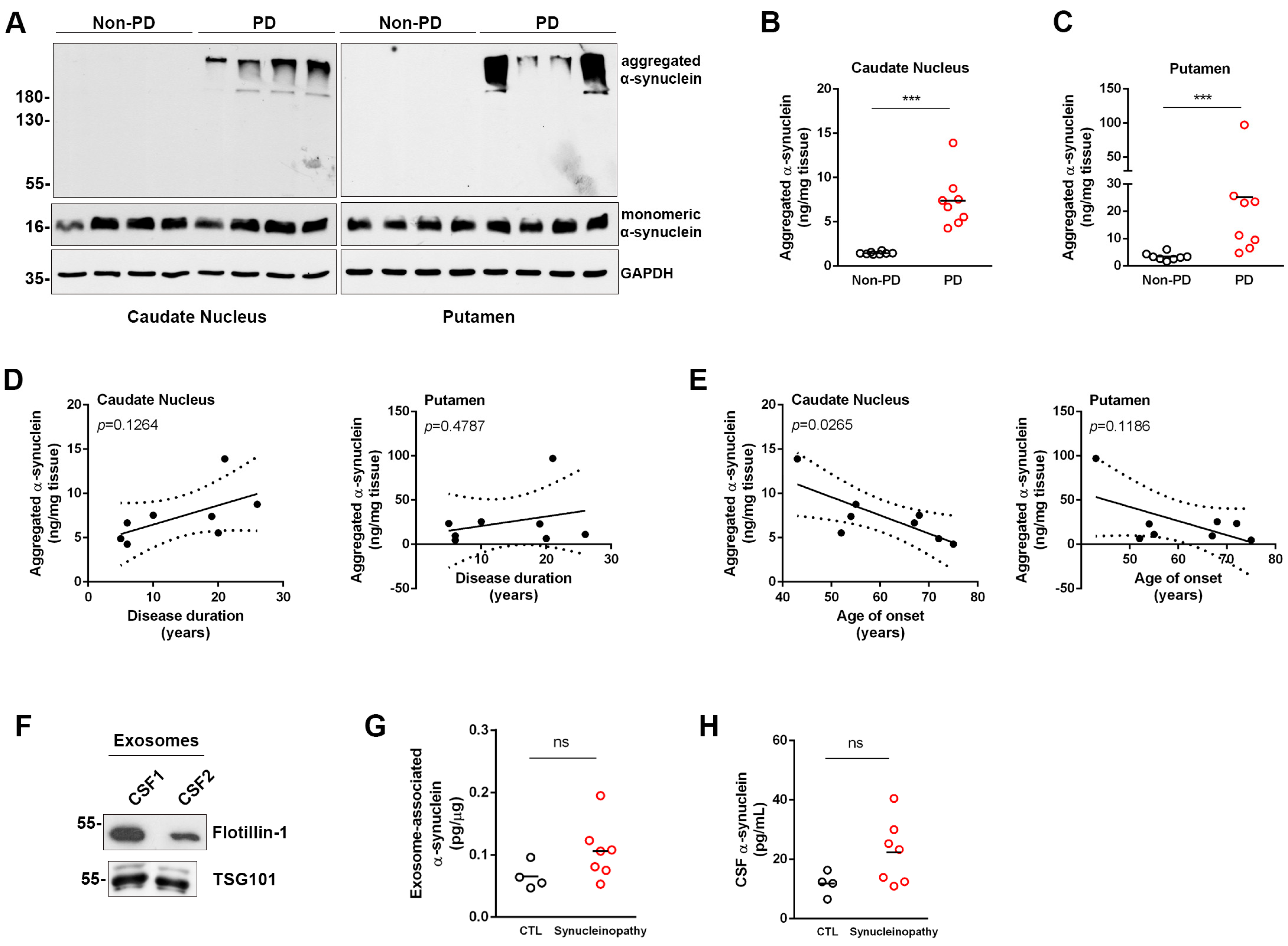 Diagnostics 13 02192 g003