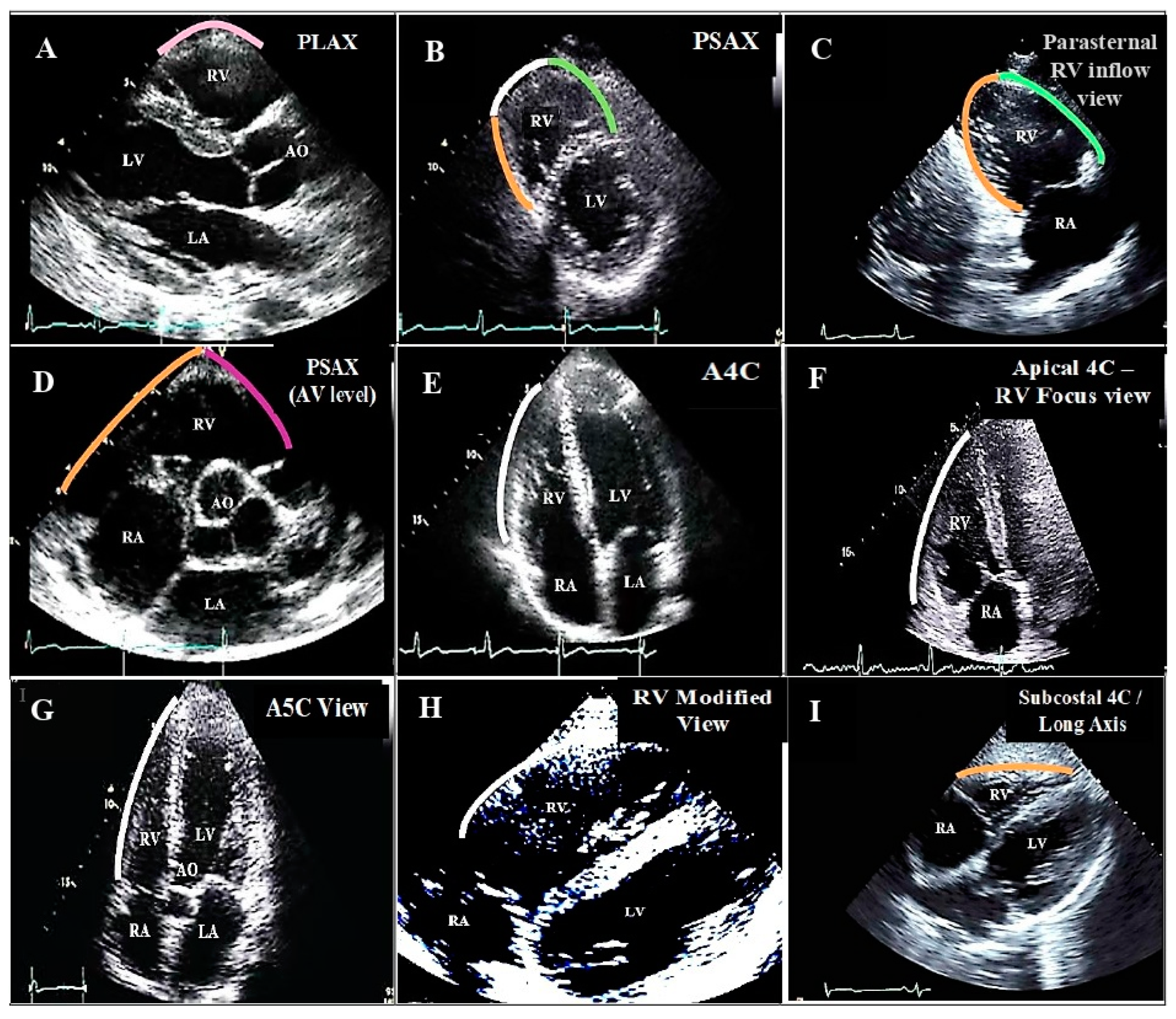 Diagnostics 13 02194 g001