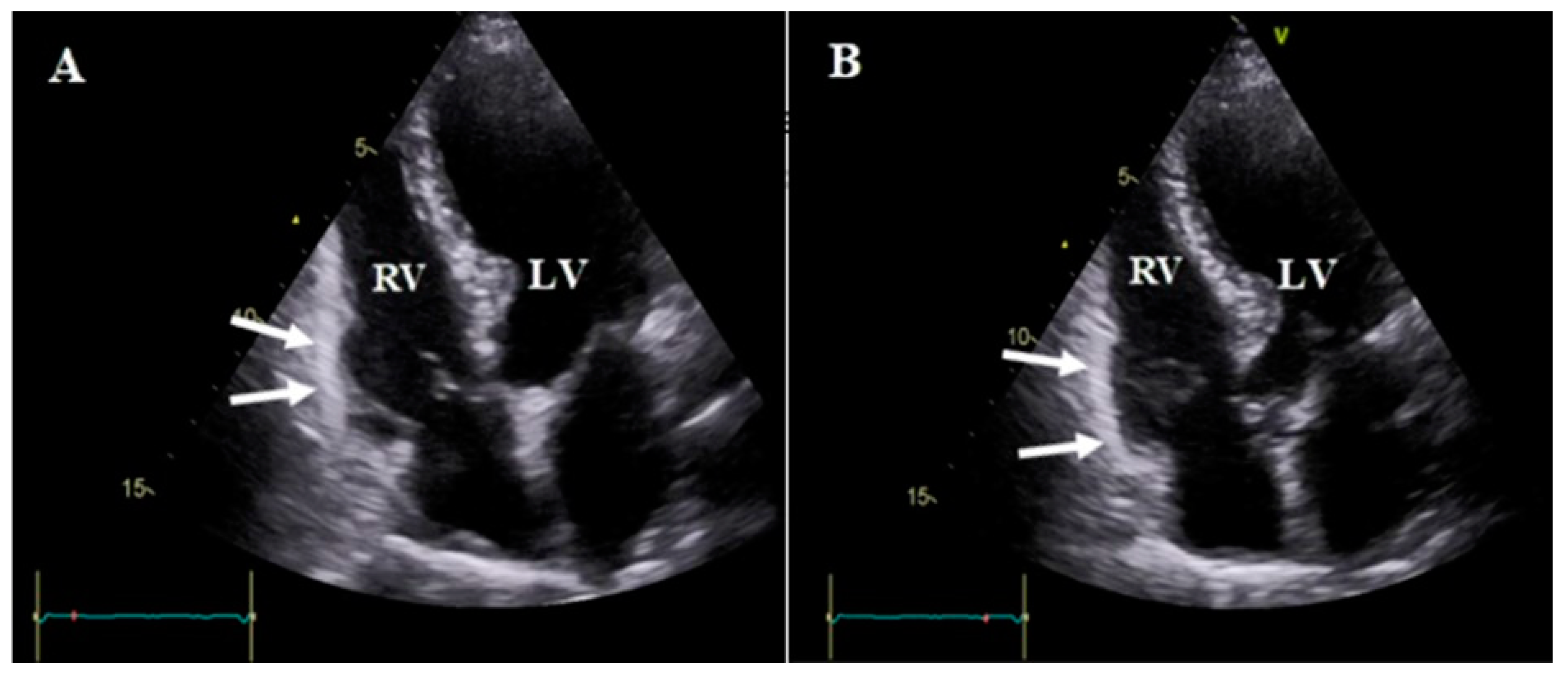 Diagnostics 13 02194 g004