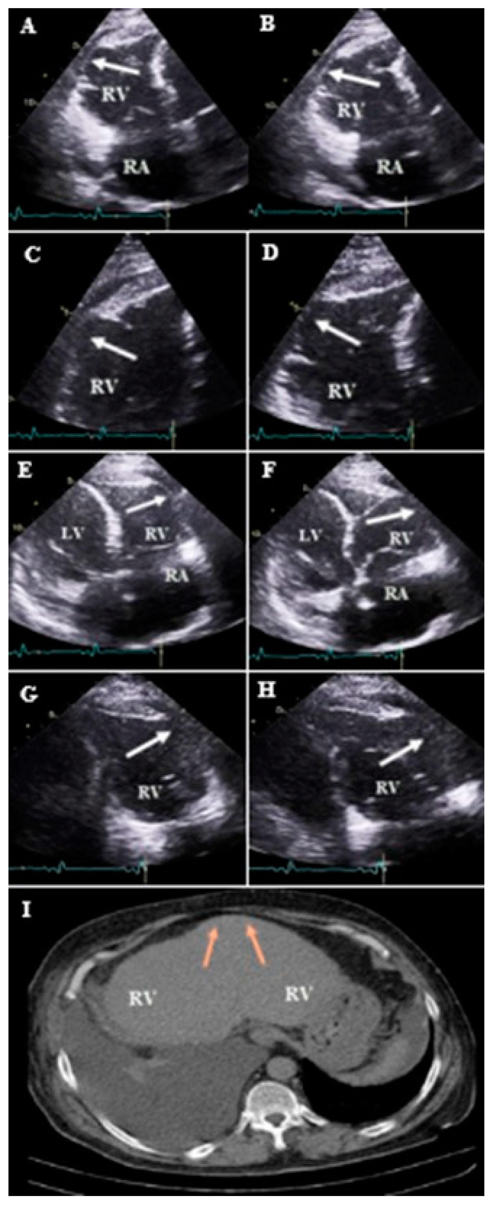 Diagnostics 13 02194 g007