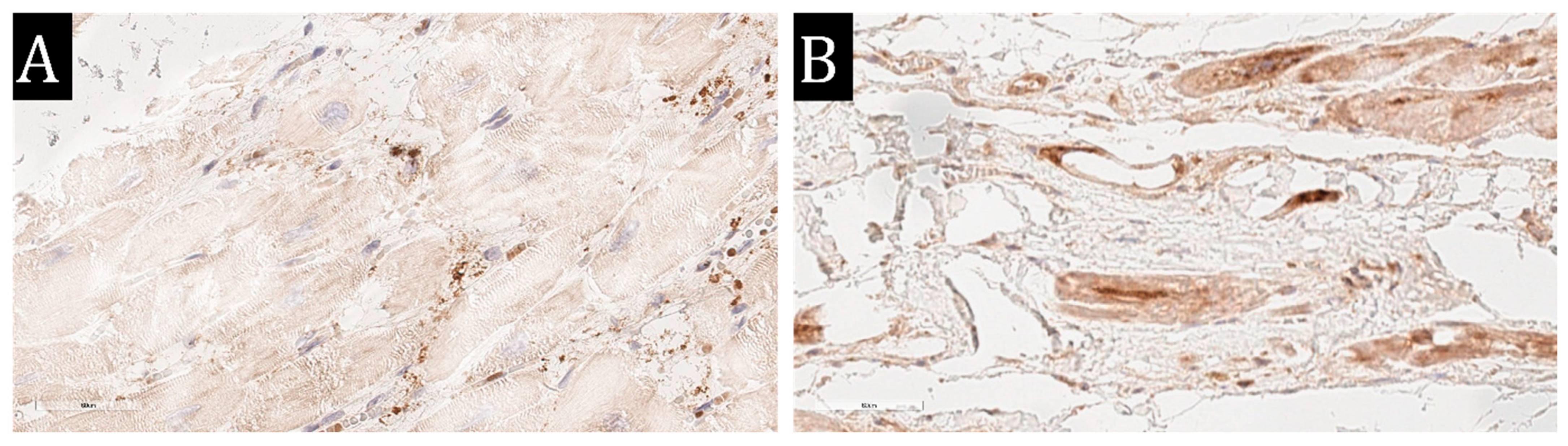 Diagnostics 13 02212 g002