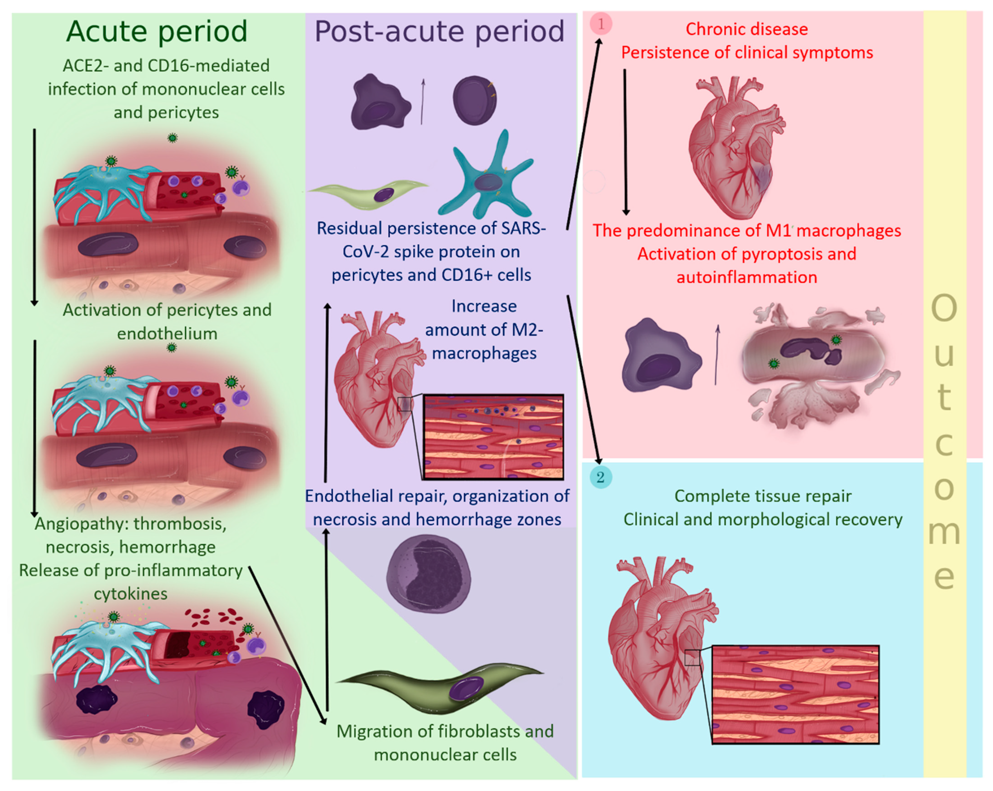 Diagnostics 13 02212 g006