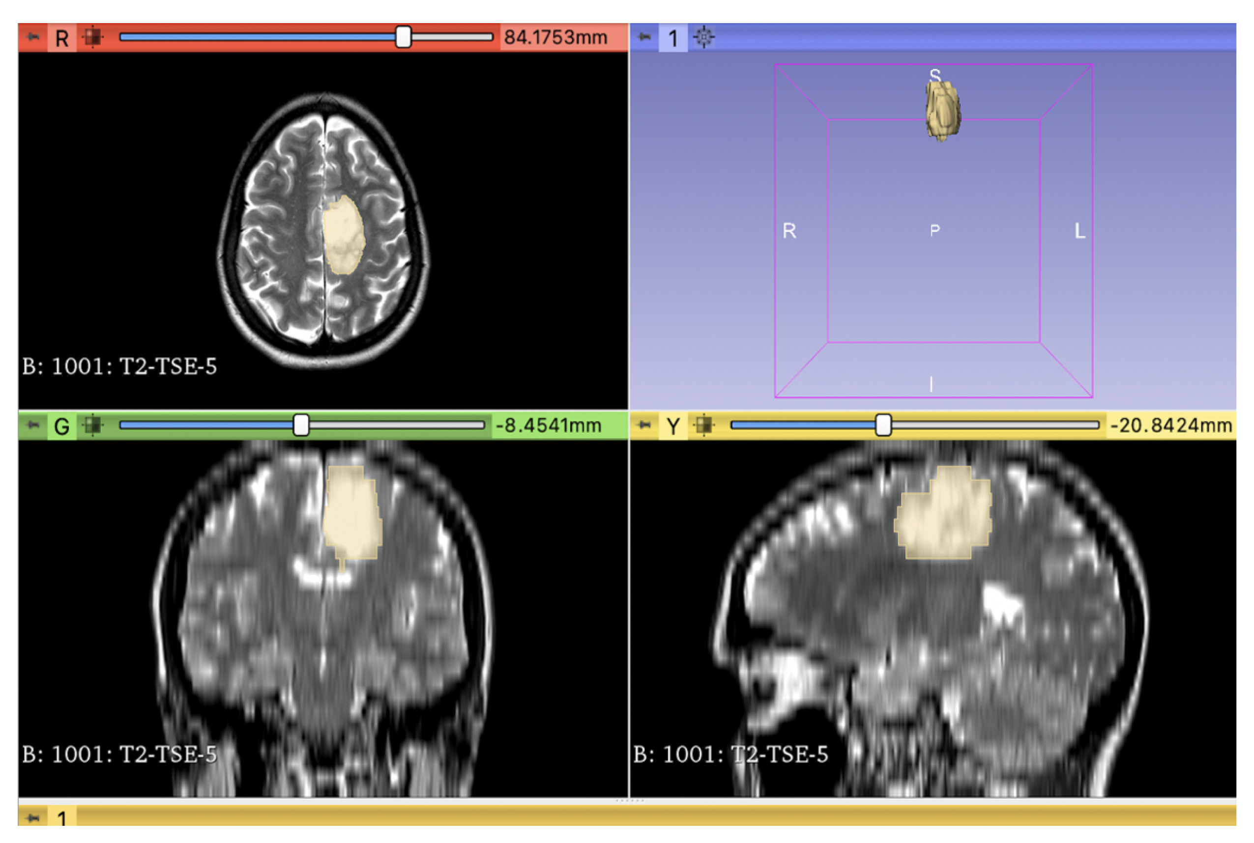 Diagnostics 13 02216 g001
