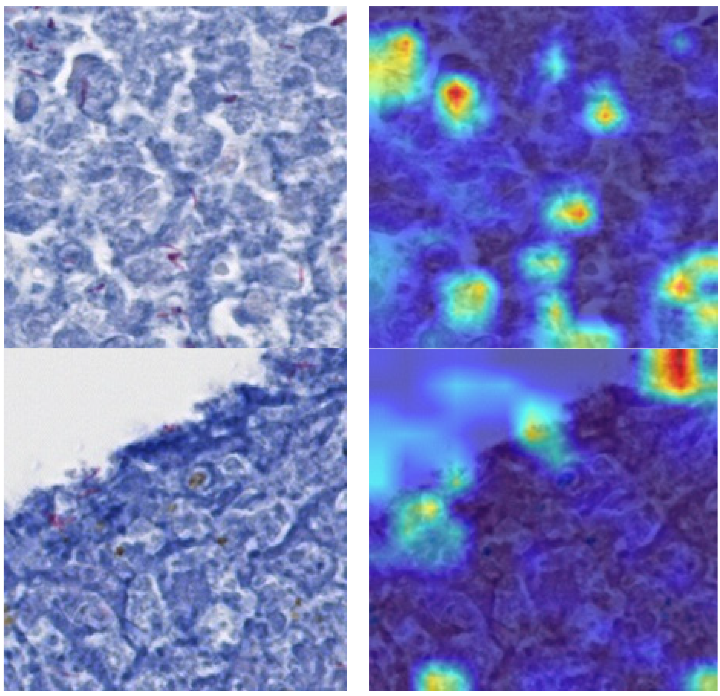 Diagnostics 13 02230 g009