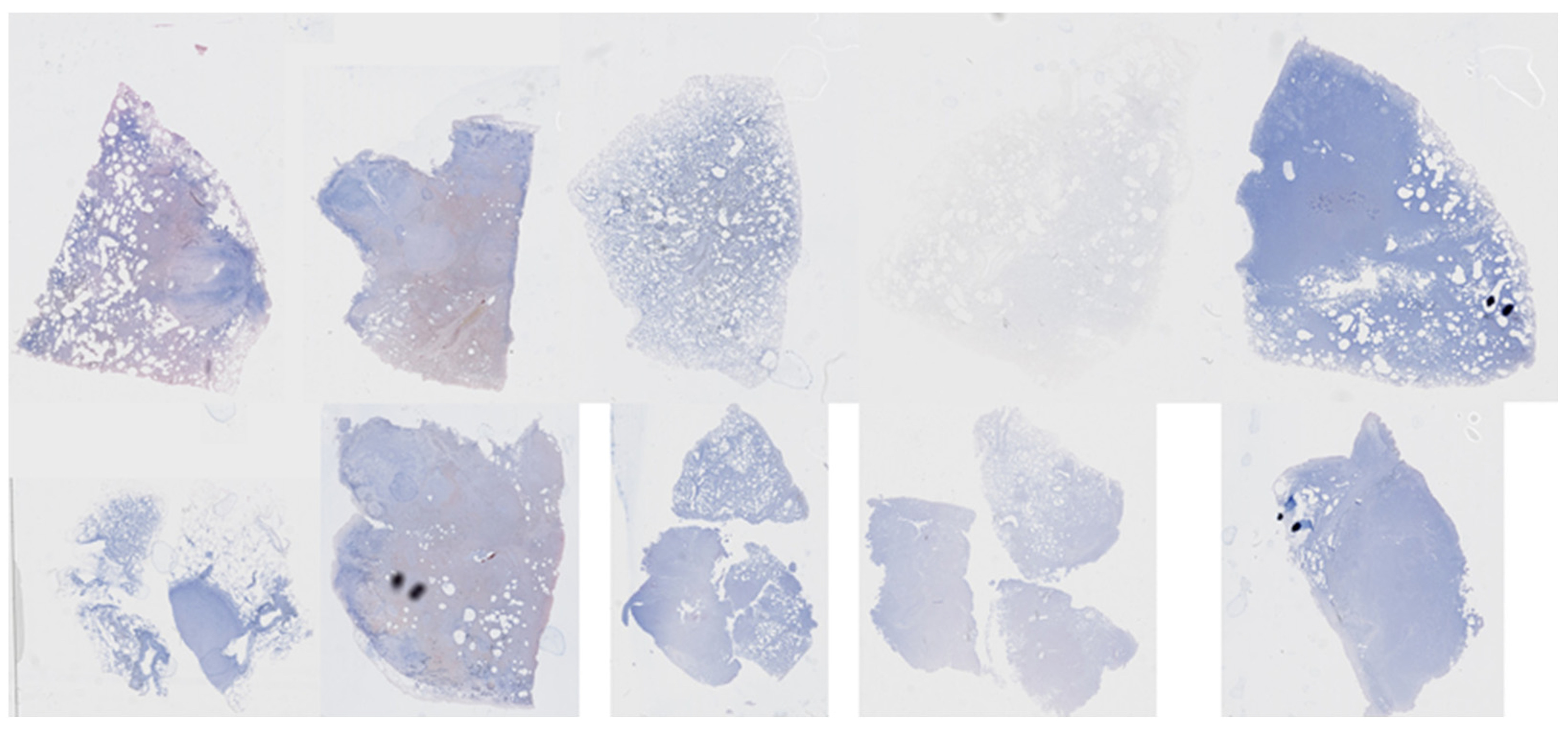 Diagnostics 13 02230 g010