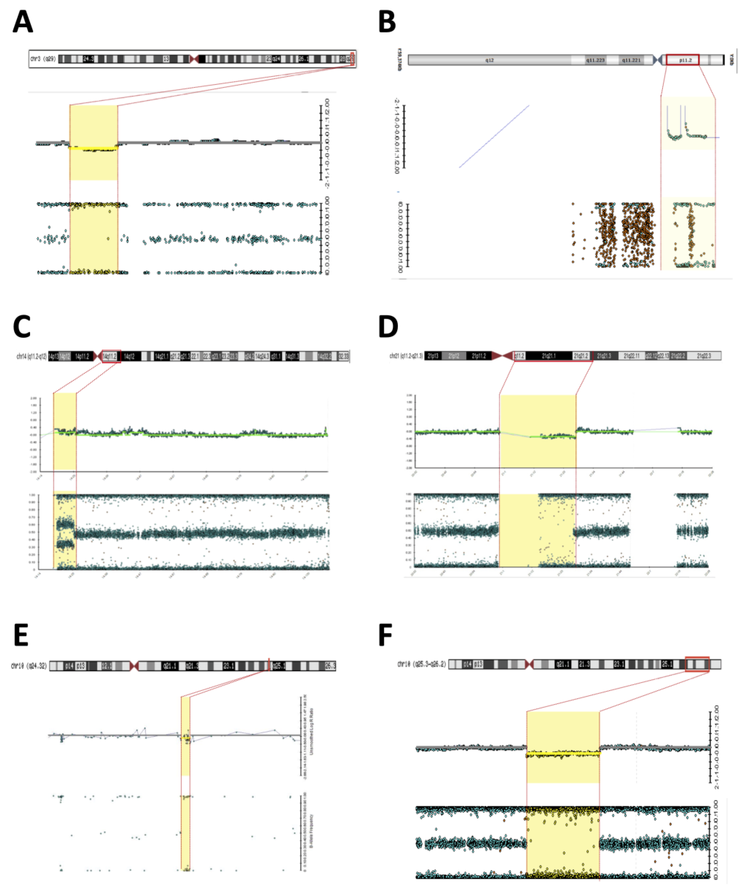 Diagnostics 13 02235 g001