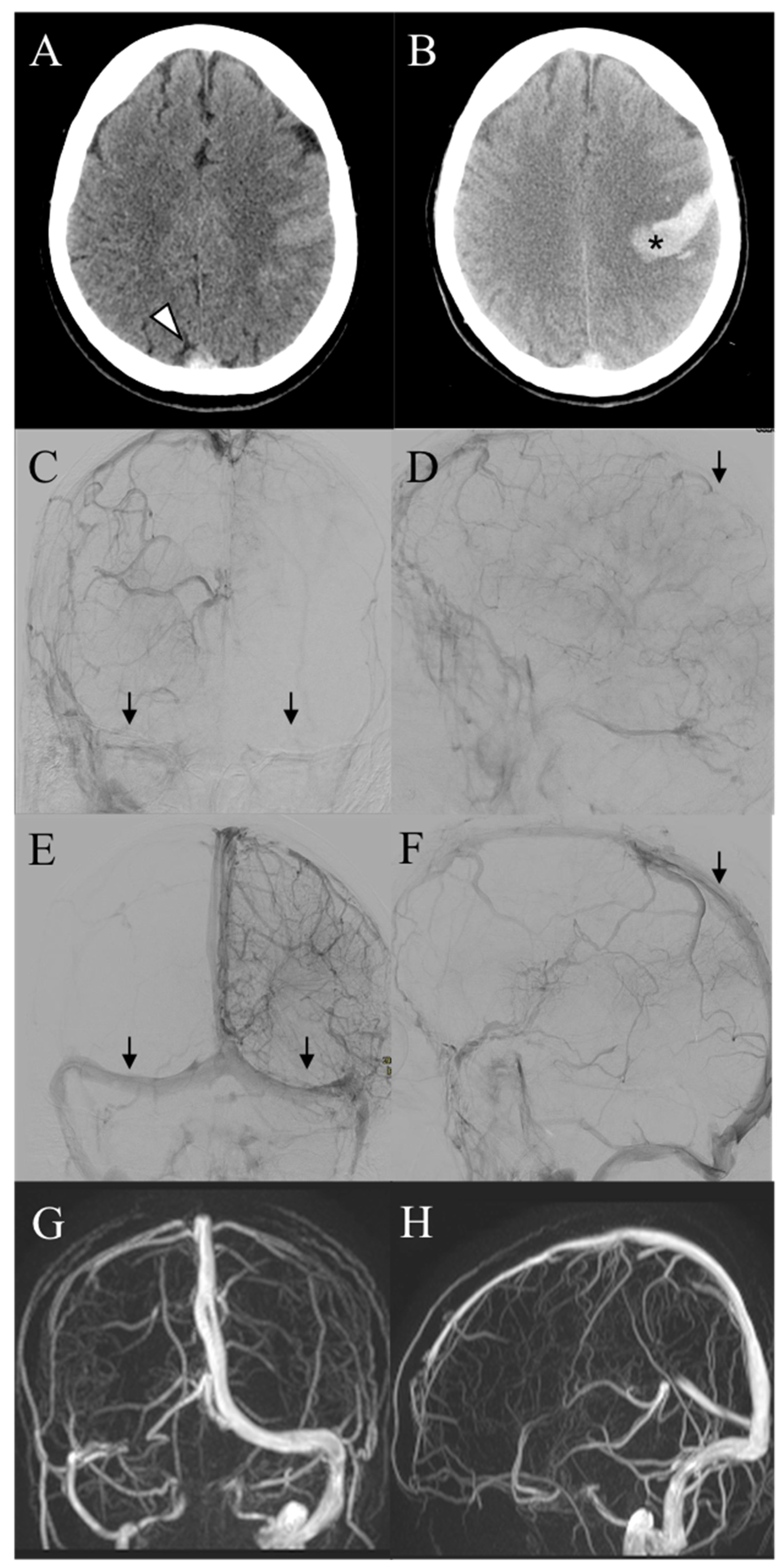 Diagnostics 13 02248 g002