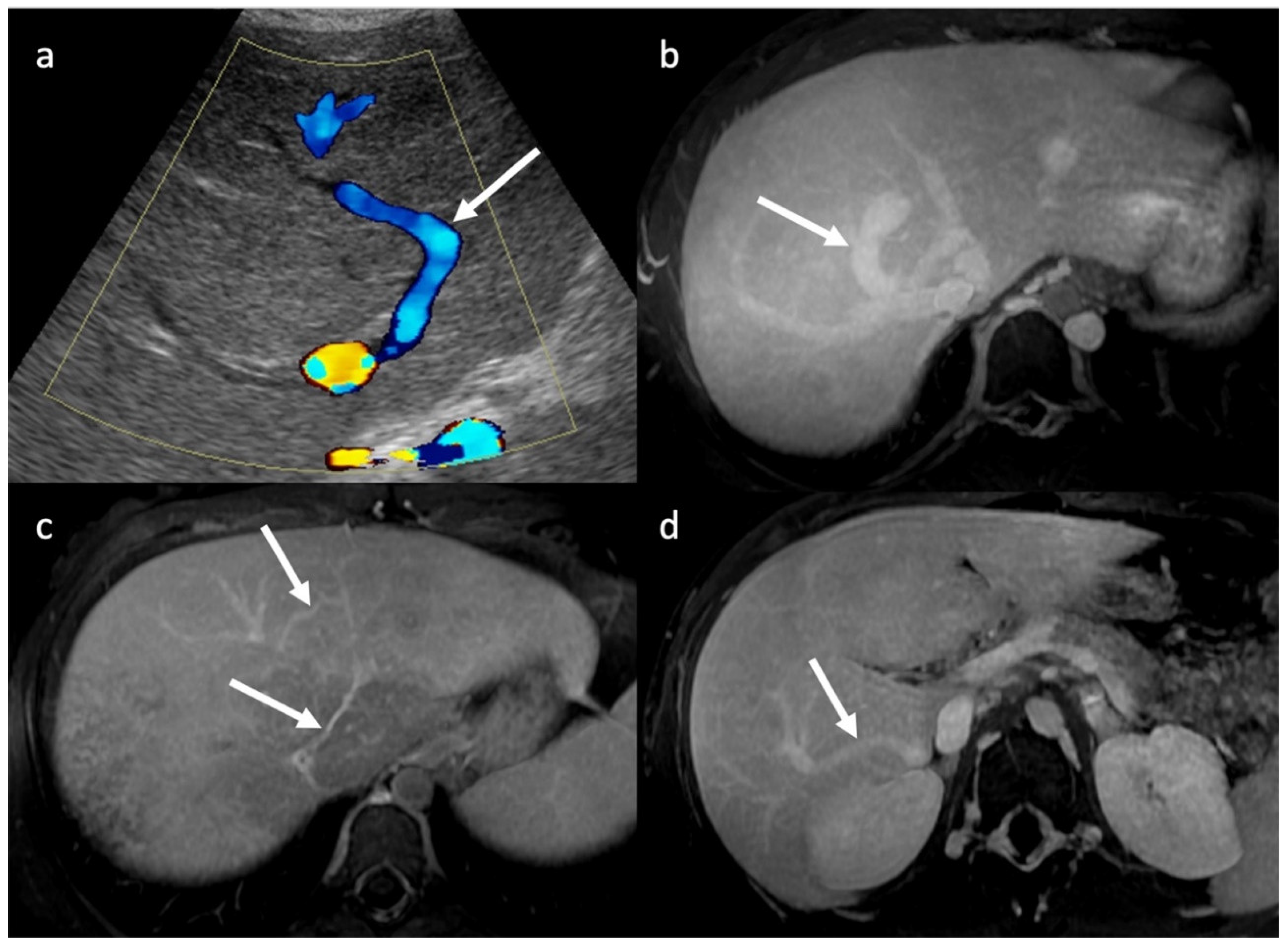 Diagnostics 13 02256 g003