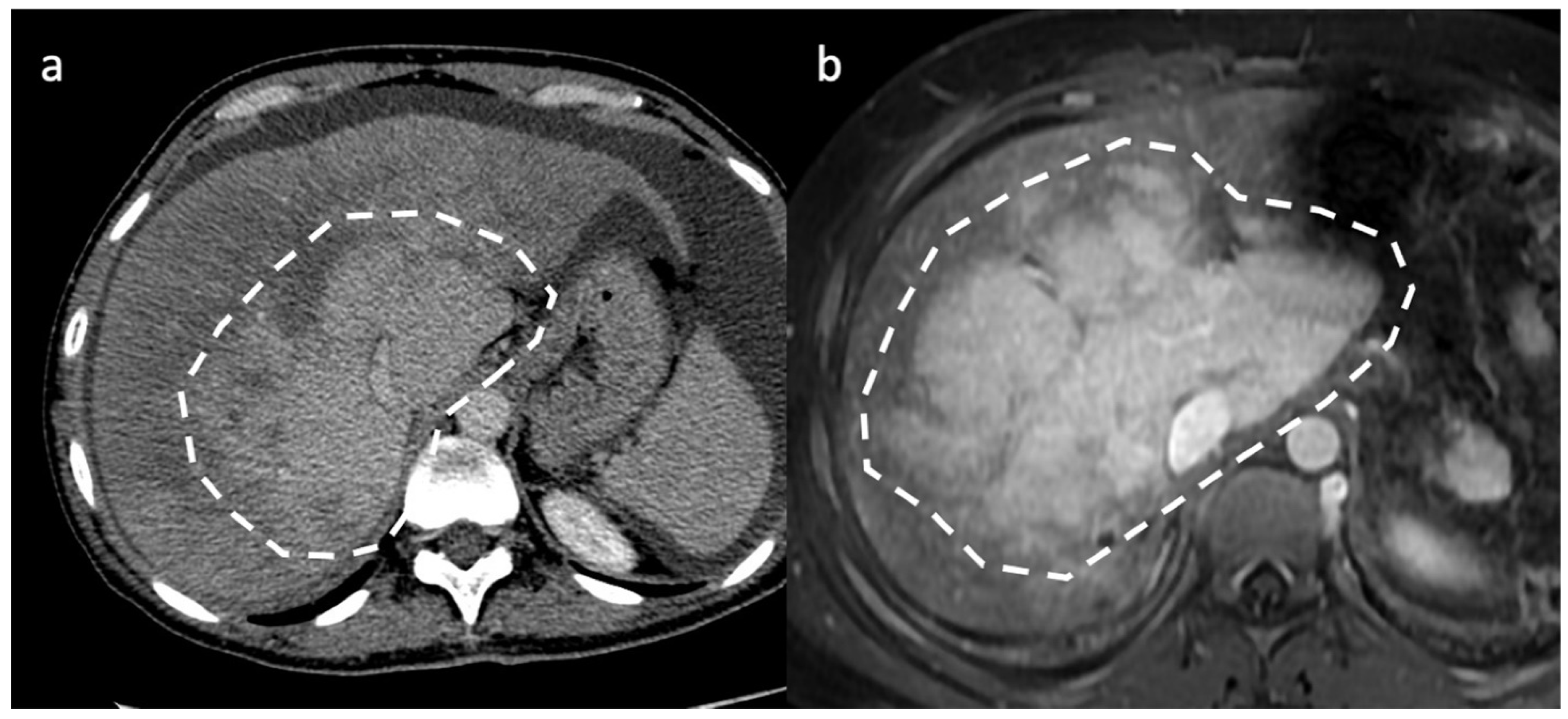 Diagnostics 13 02256 g004