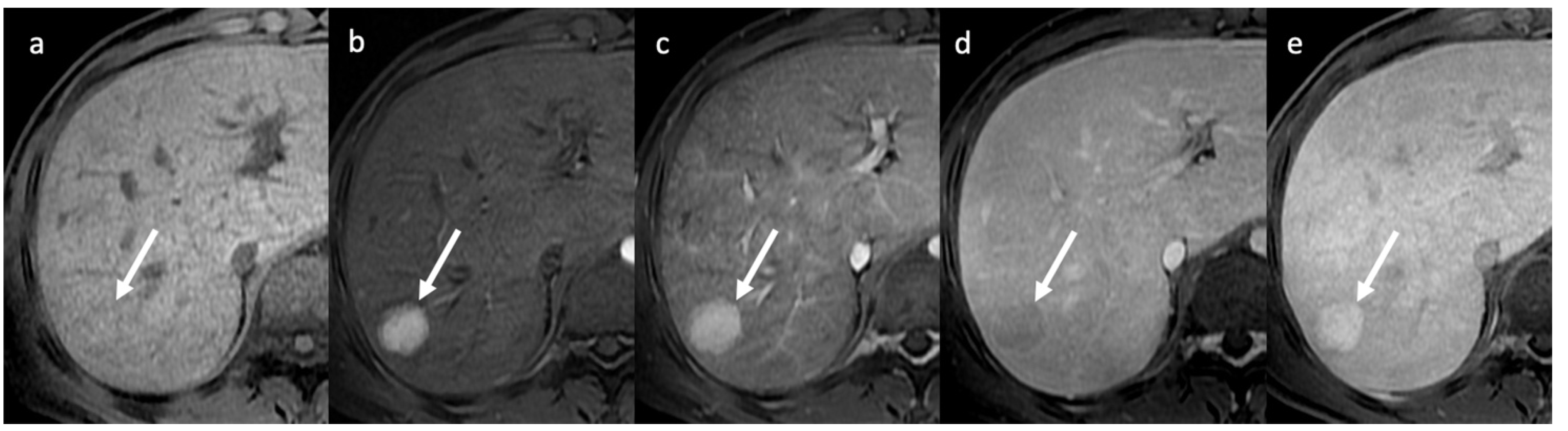 Diagnostics 13 02256 g010