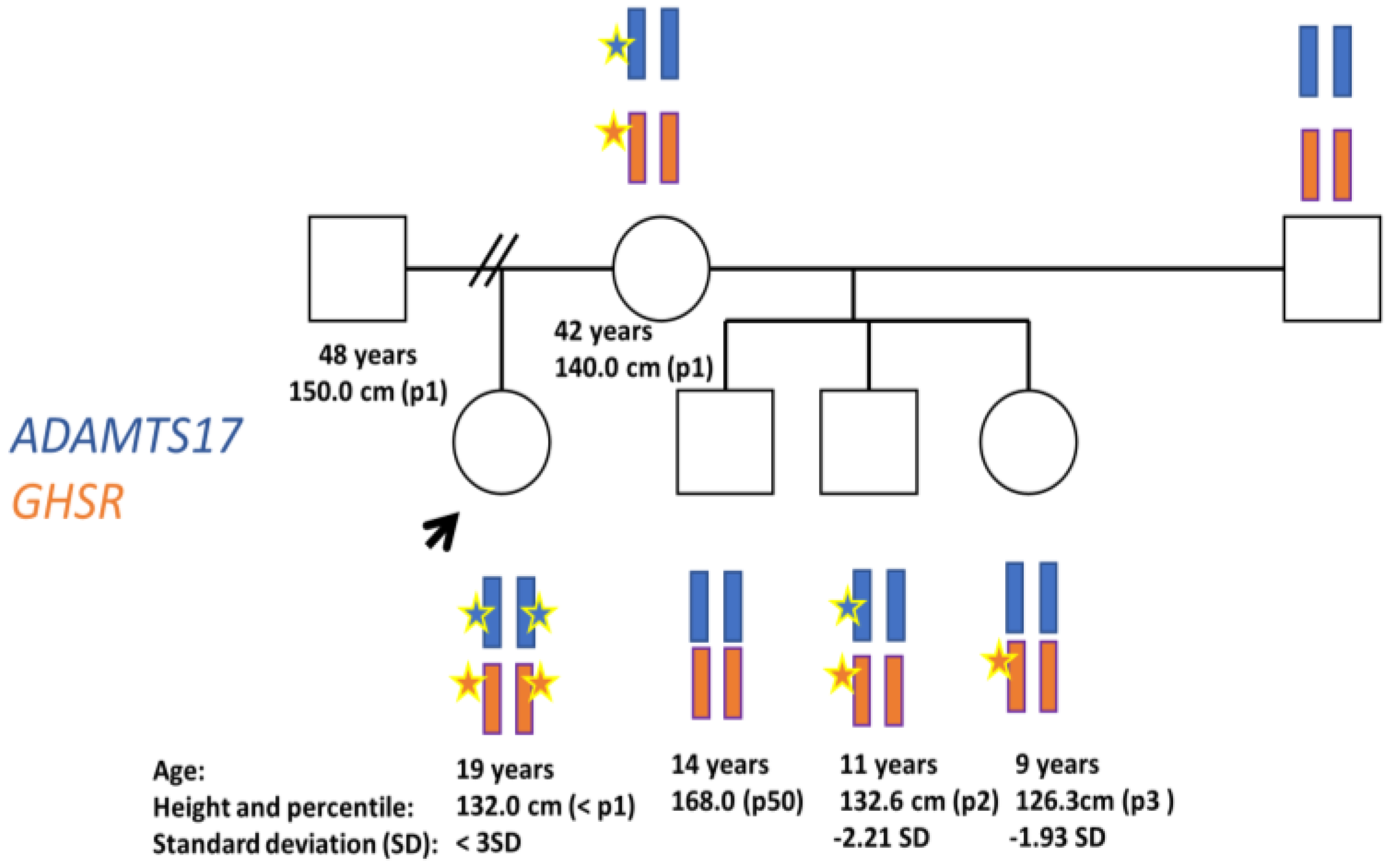 Diagnostics Free FullText Contribution of Dynamic and