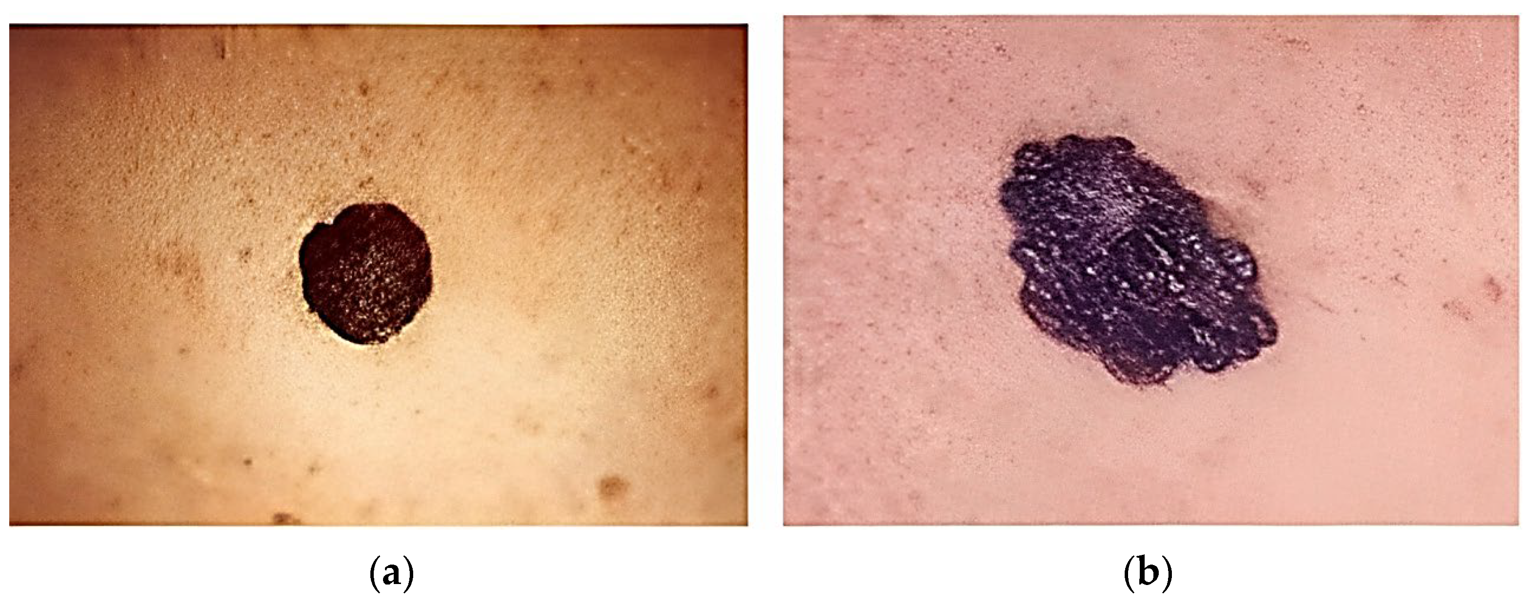 Diagnostics 13 02264 g001