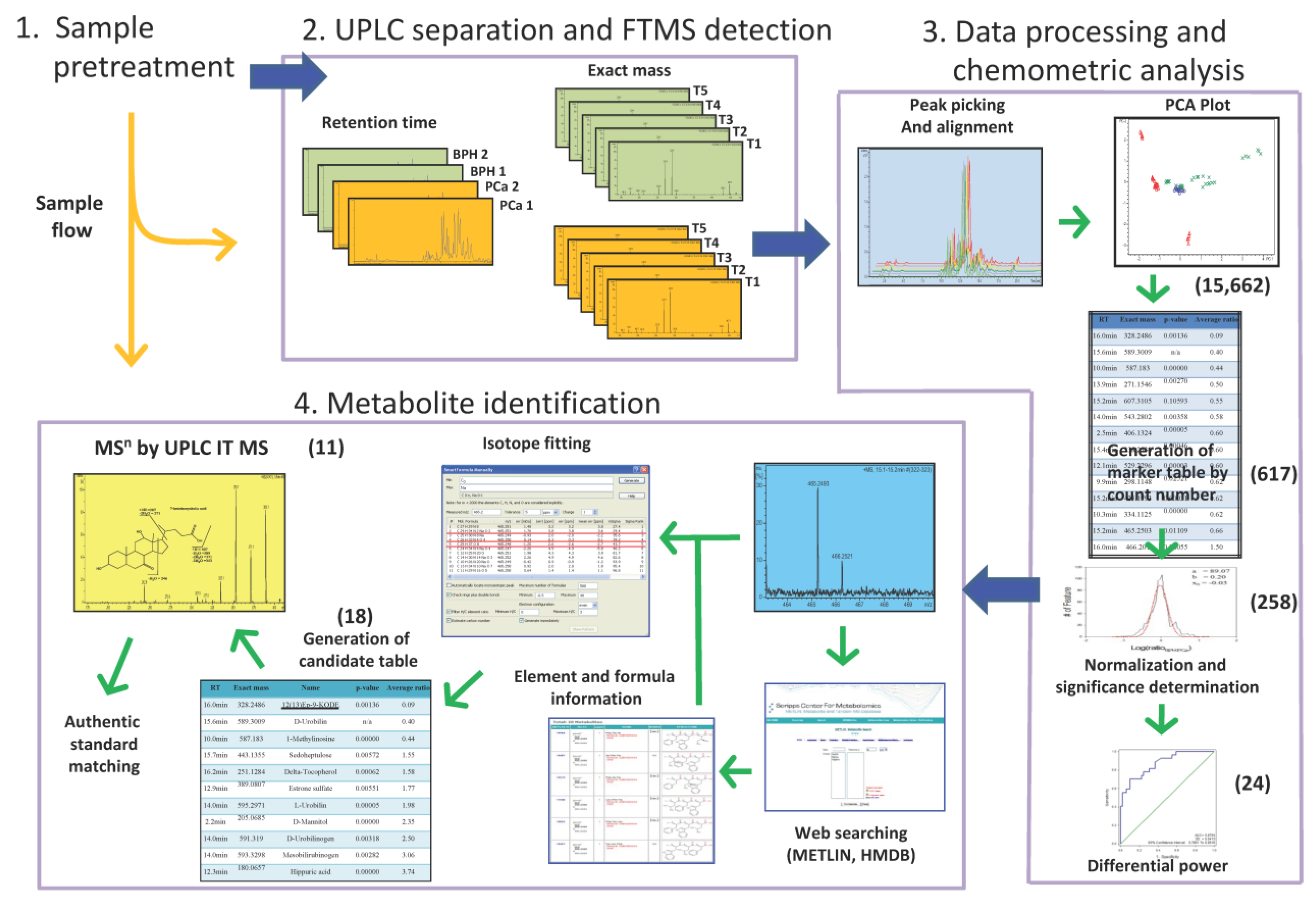 Diagnostics 13 02270 g001 Diagnostics 13 02270 g001
