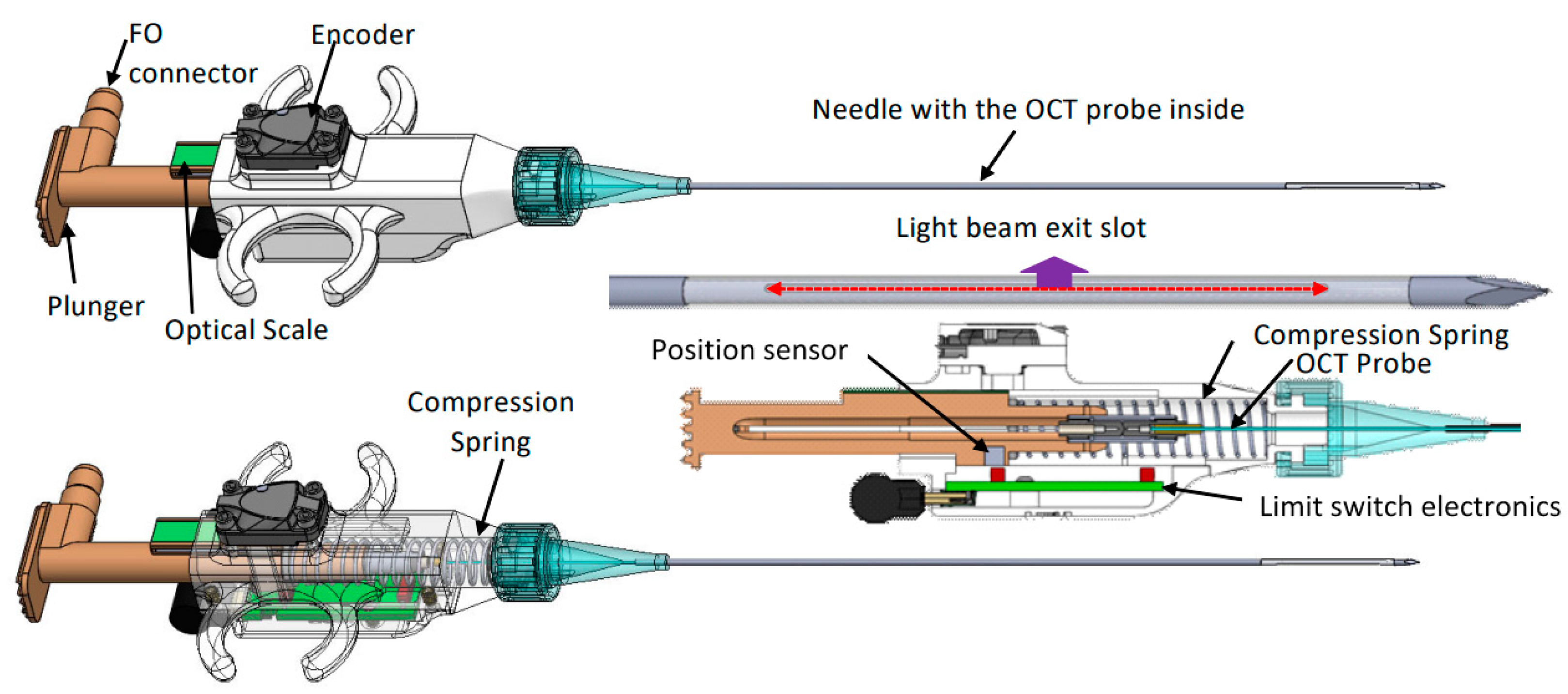 Diagnostics Free FullText Core Needle Biopsy Guidance Based on Tissue Morphology Assessment