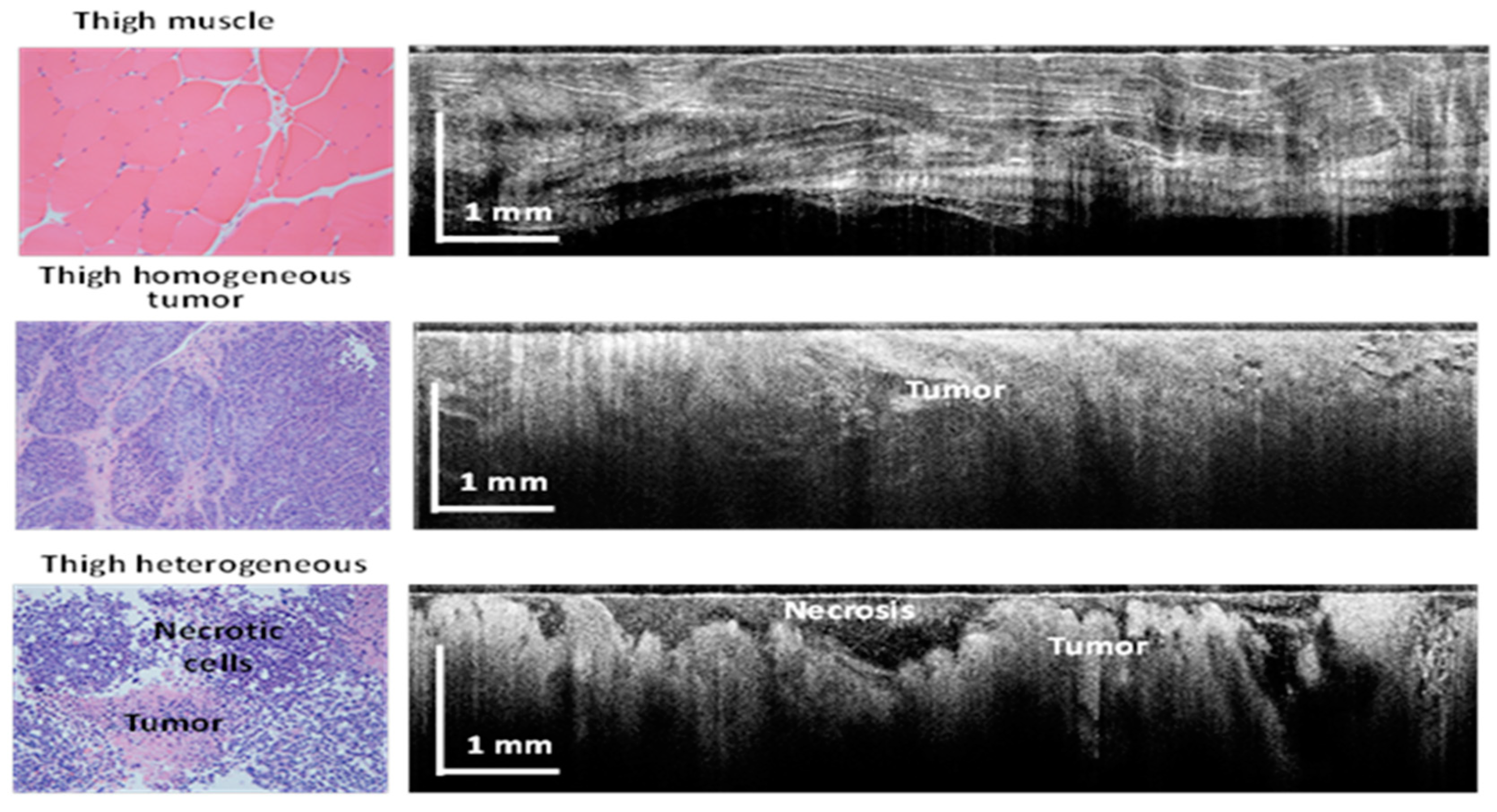 Diagnostics 13 02276 g004