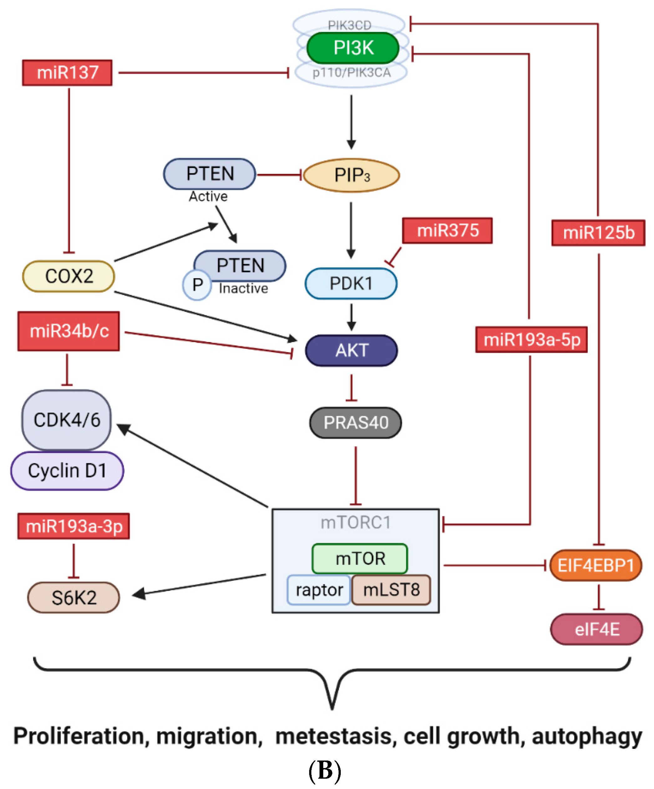 Diagnostics 13 02289 g004b Diagnostics 13 02289 g004b