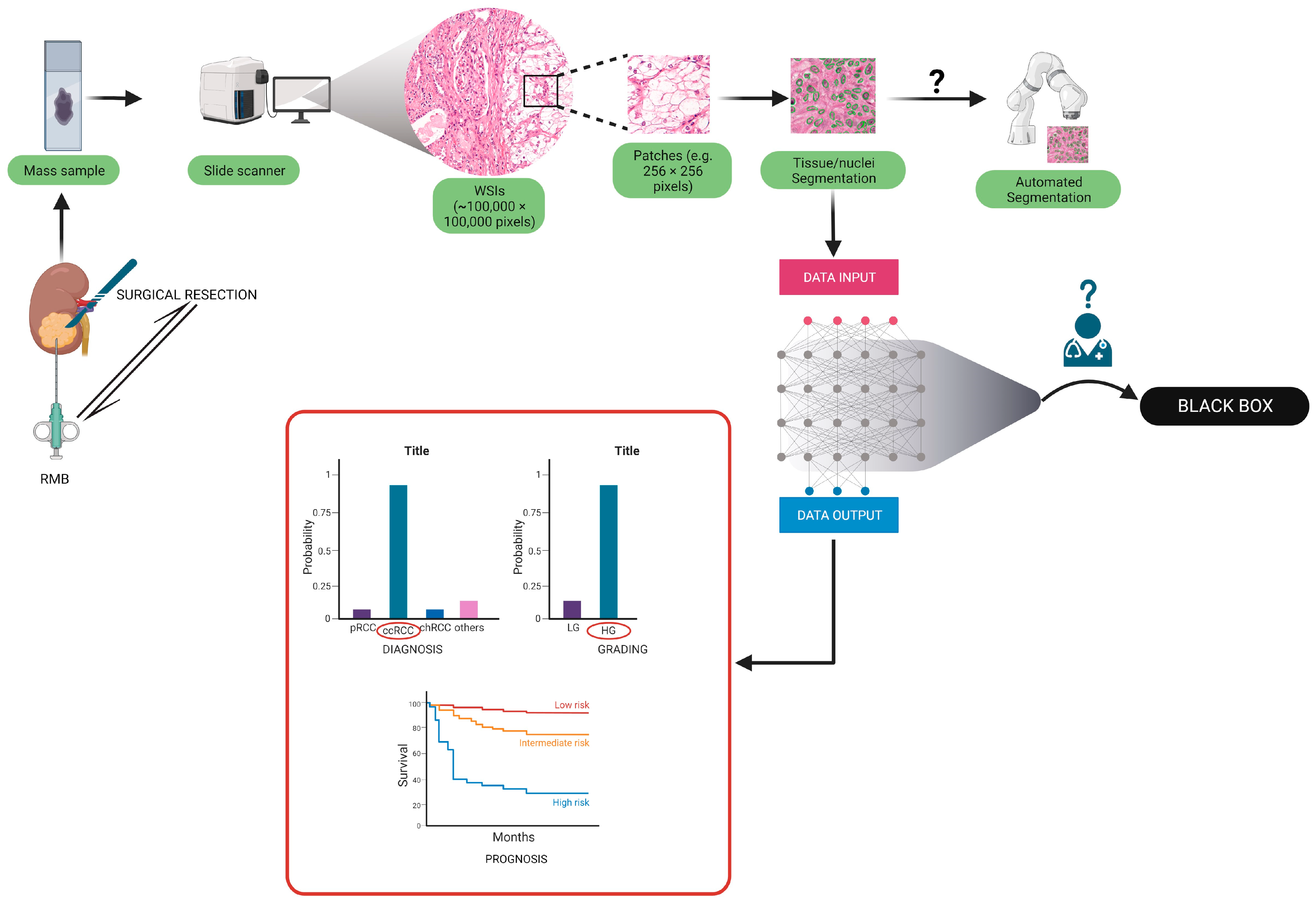 Diagnostics 13 02294 g001 Diagnostics 13 02294 g001