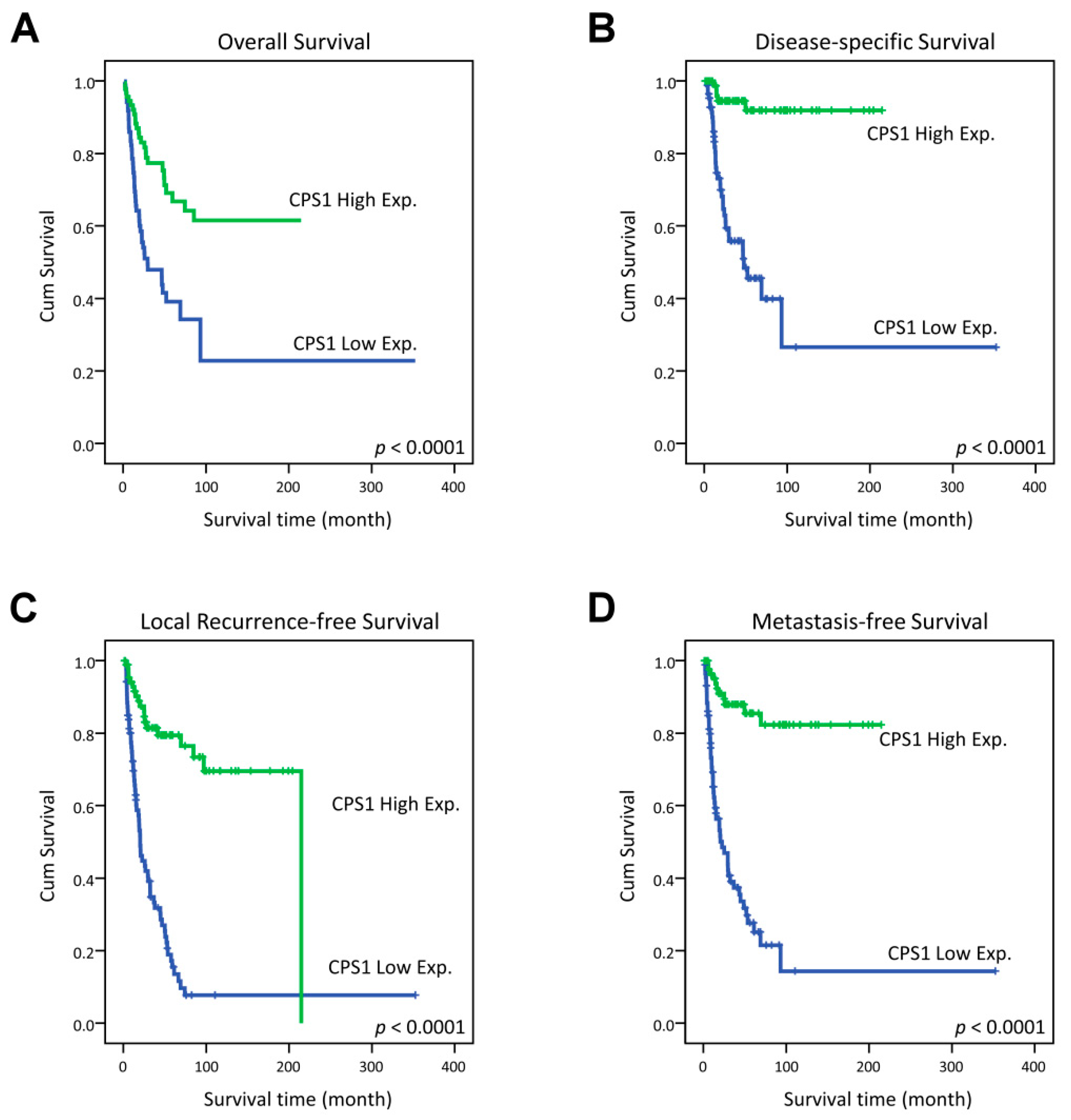 Diagnostics 13 02296 g003