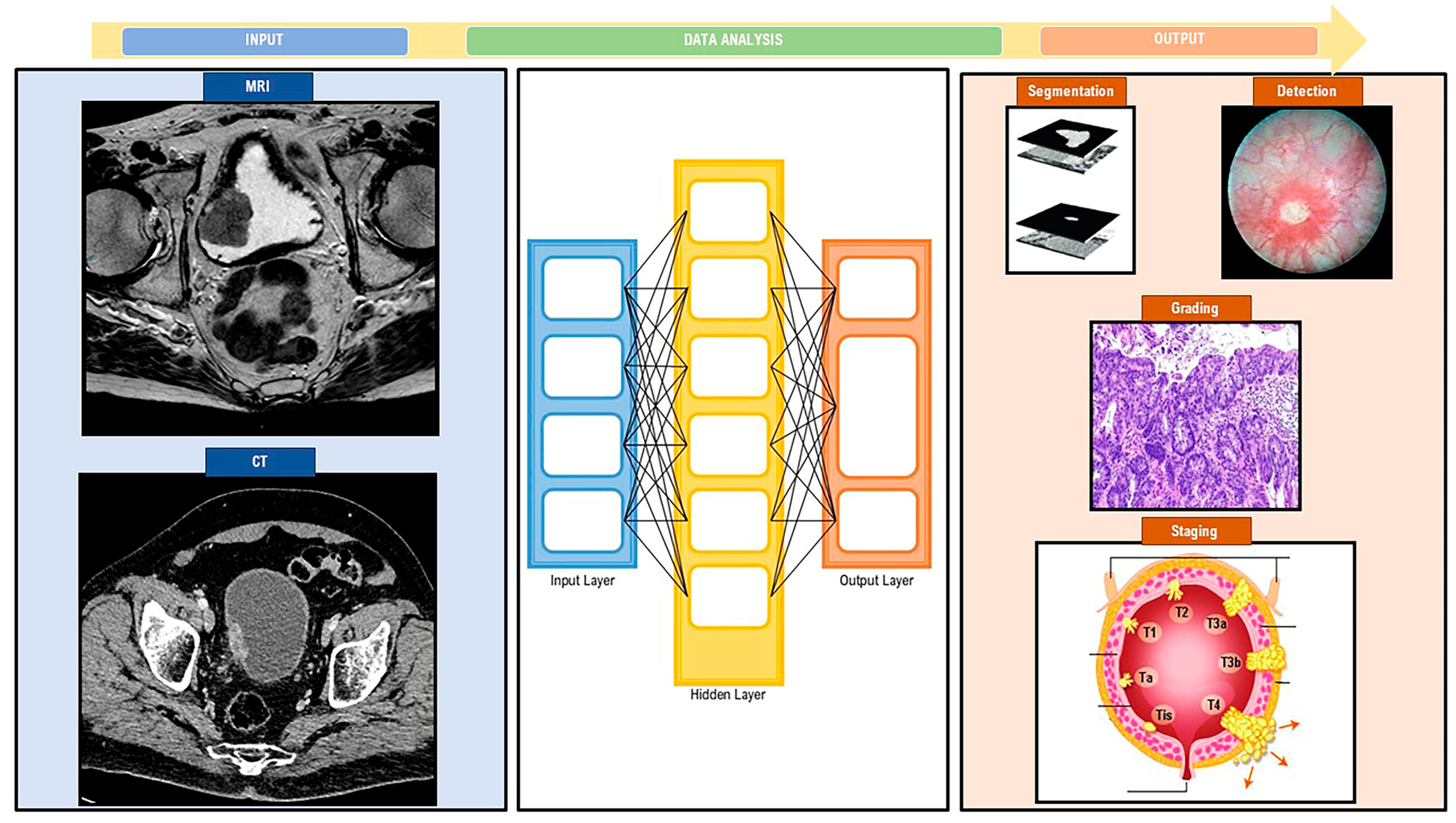 Diagnostics 13 02308 g003 Diagnostics 13 02308 g003