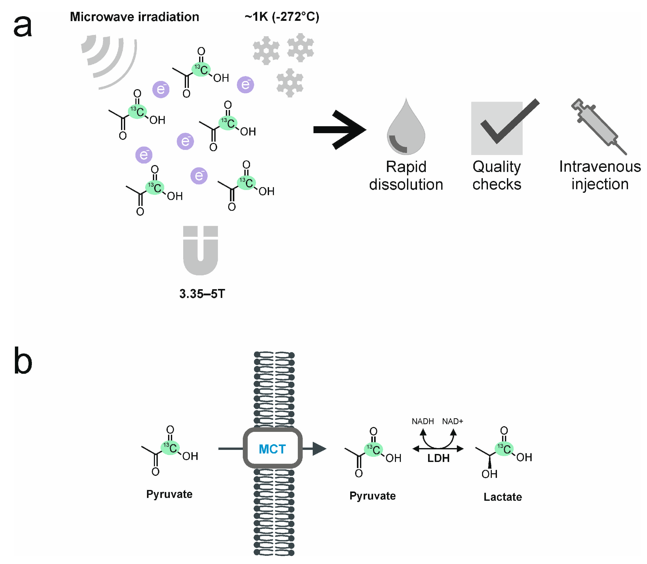 Diagnostics 13 02311 g001