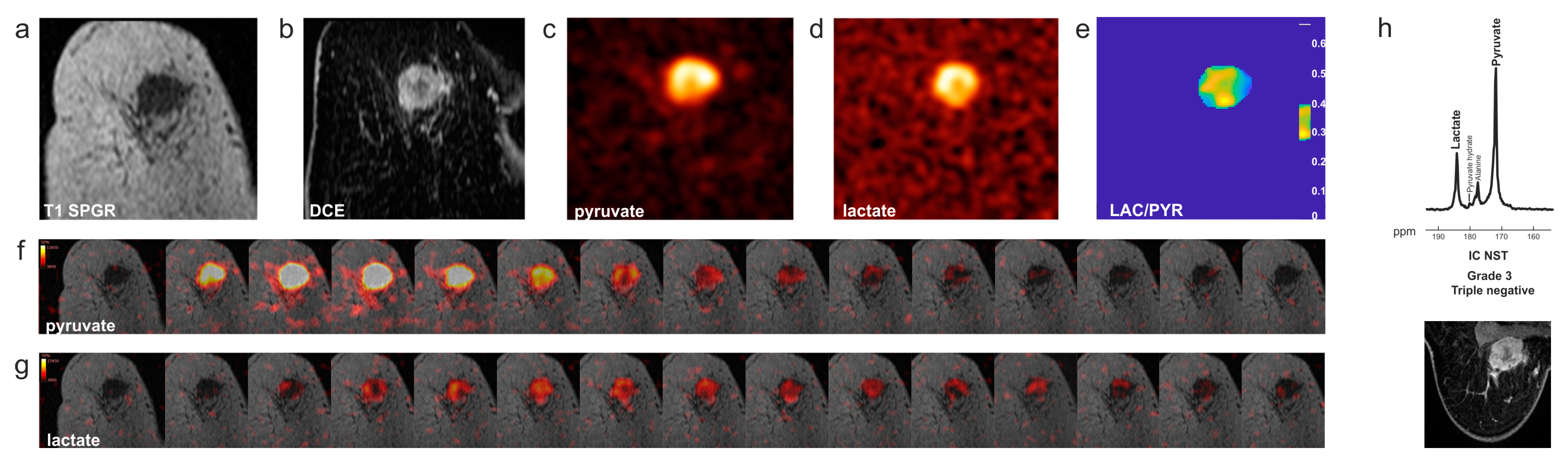 Diagnostics 13 02311 g003